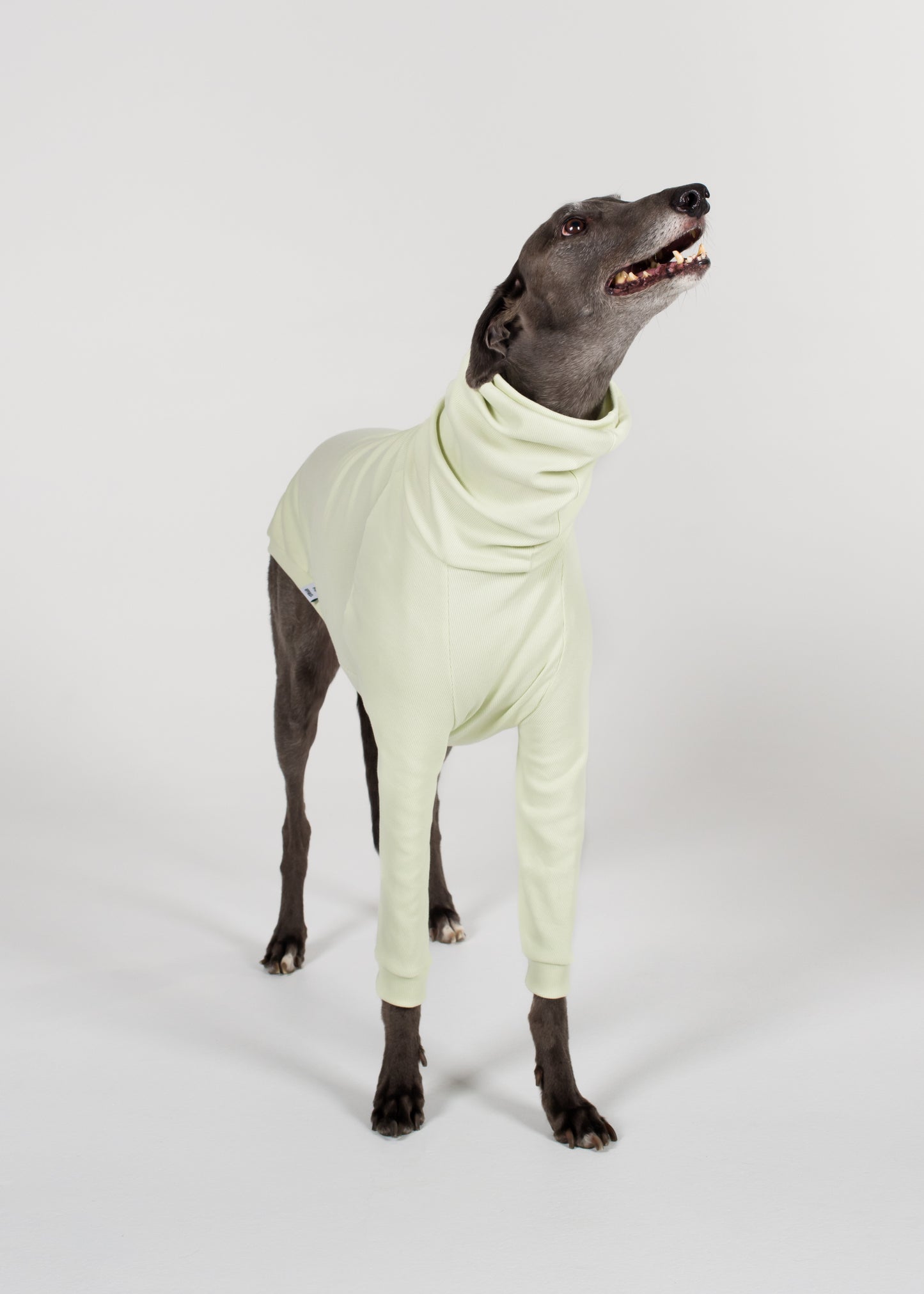 Greyhound Rib Jumper - Melon