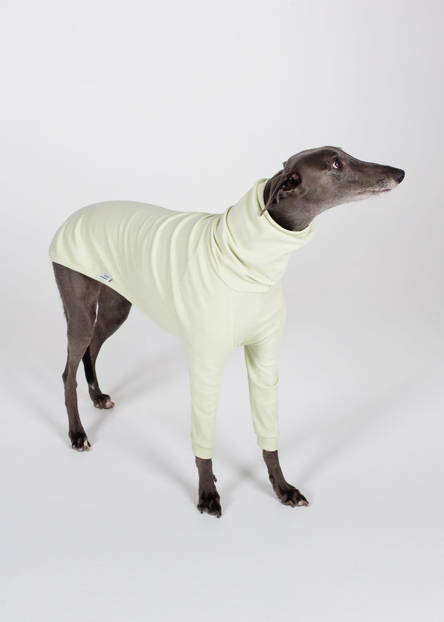 Greyhound Rib Jumper - Melon