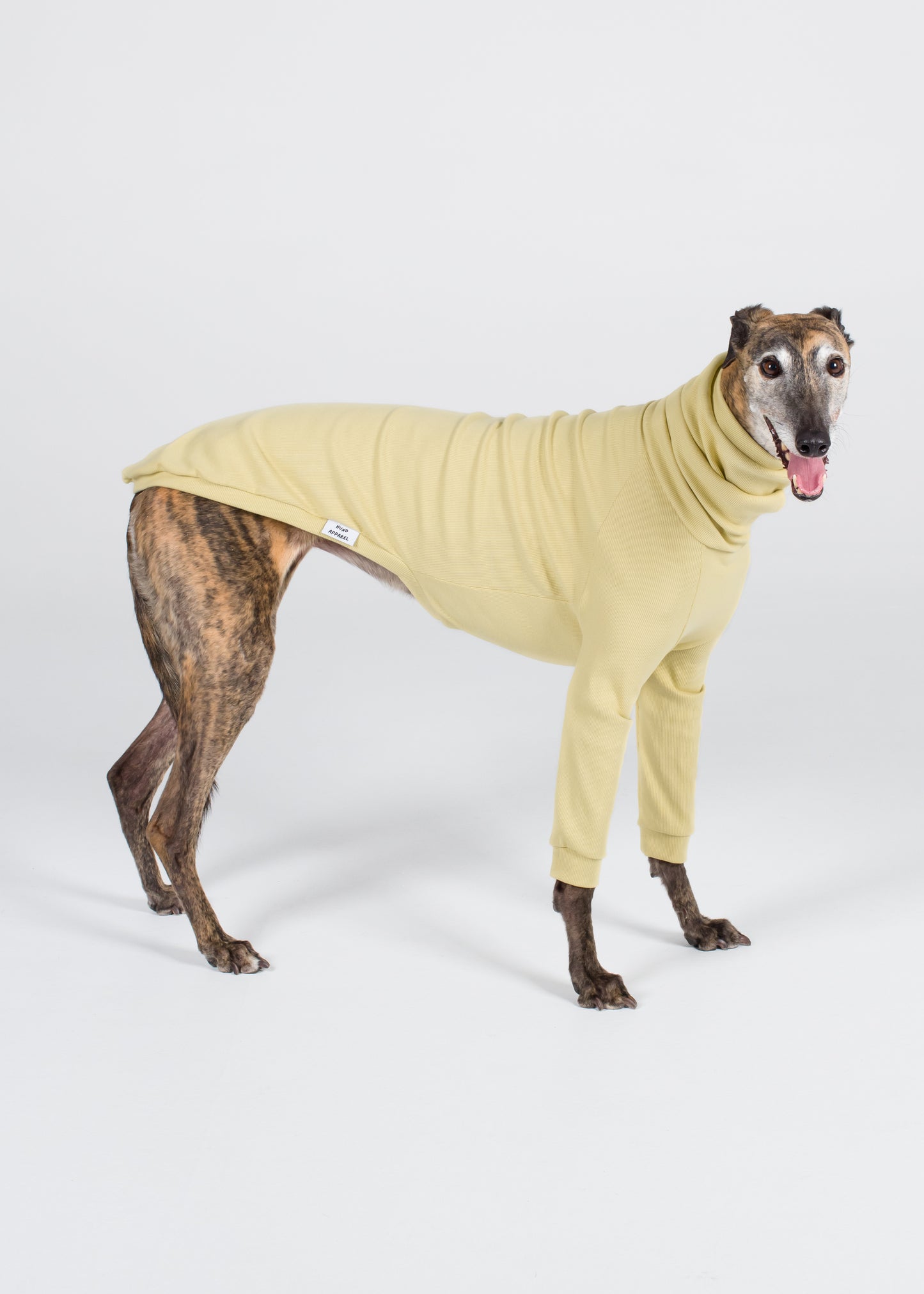 Greyhound Rib Jumper - Buttercup