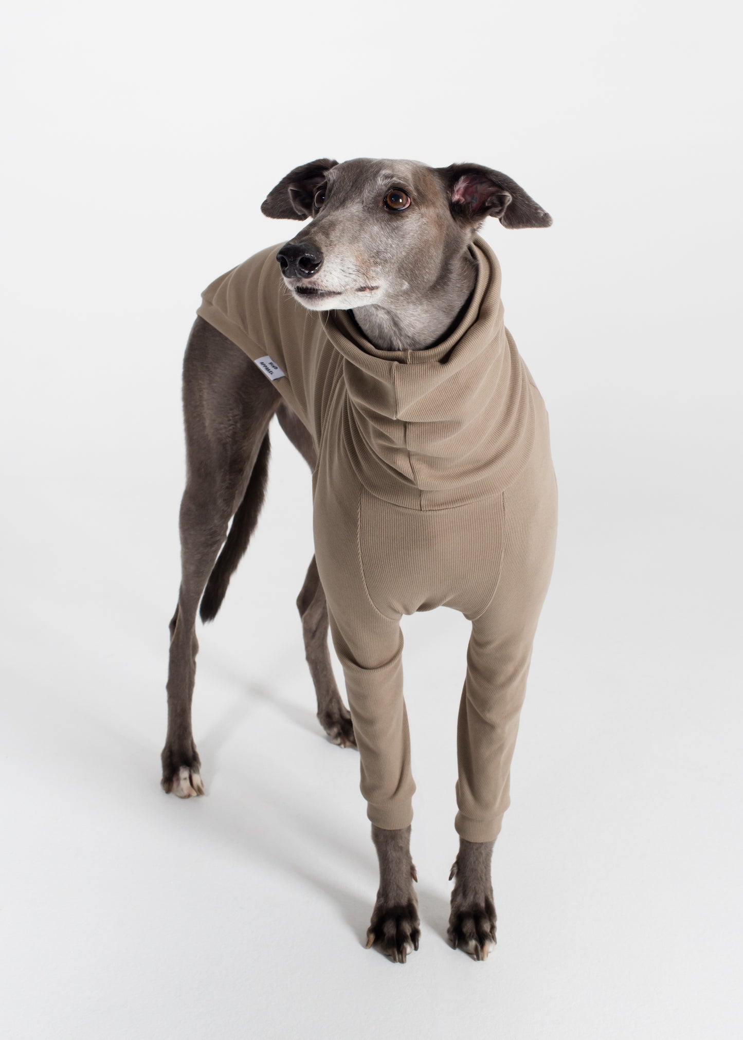 Greyhound Rib Jumper - Truffle