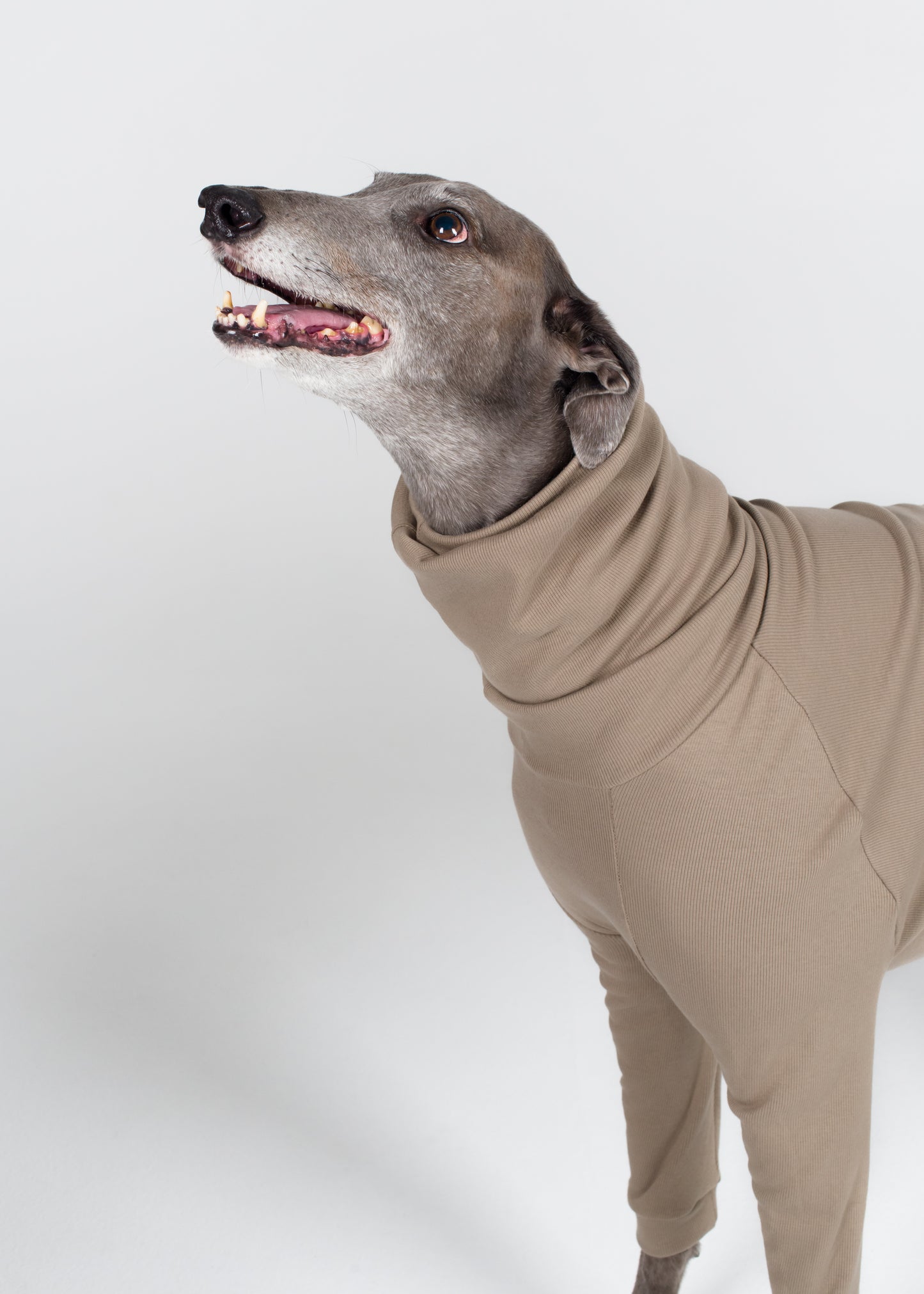 Greyhound Rib Jumper - Truffle