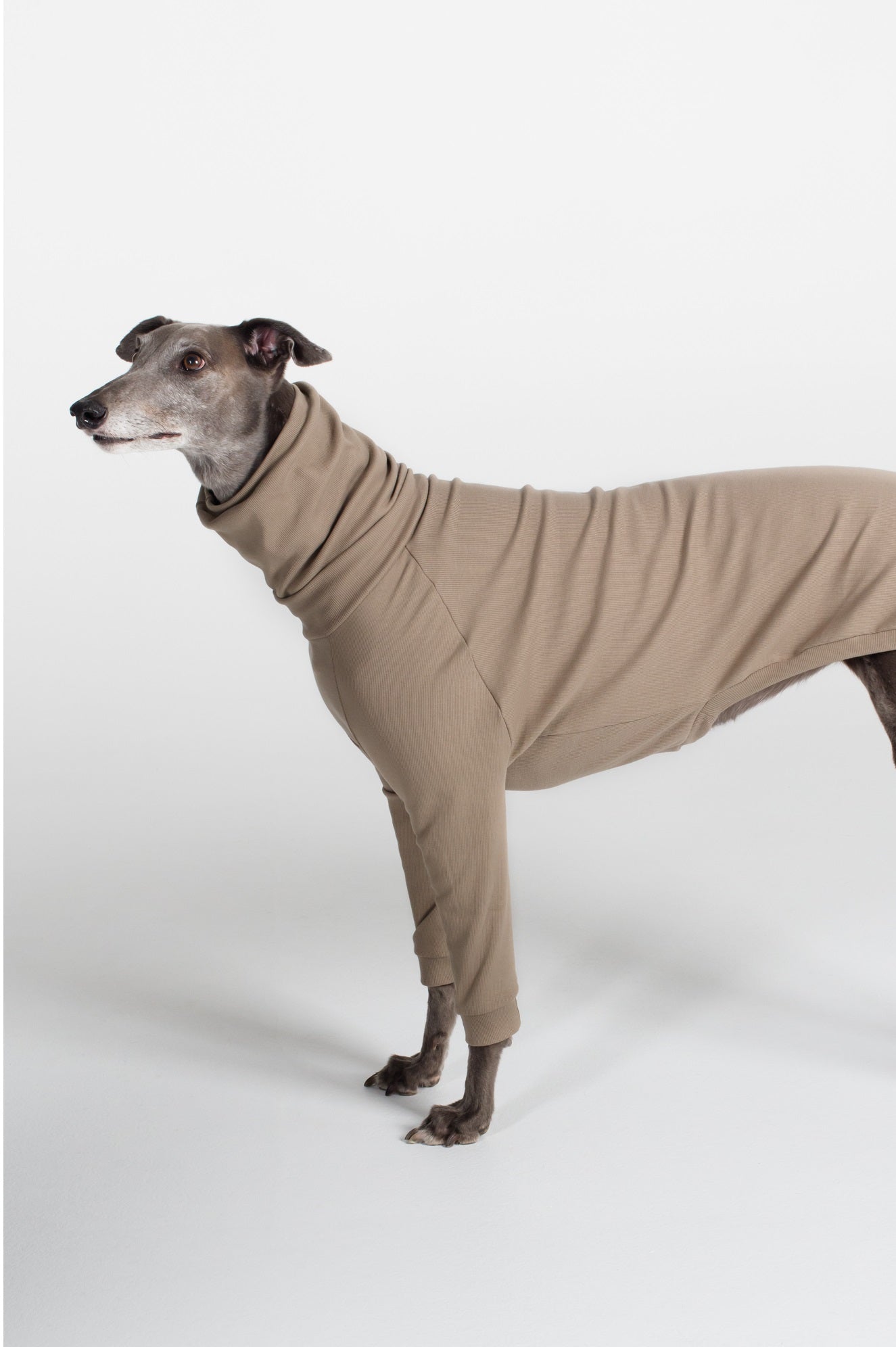 Greyhound Rib Jumper - Truffle