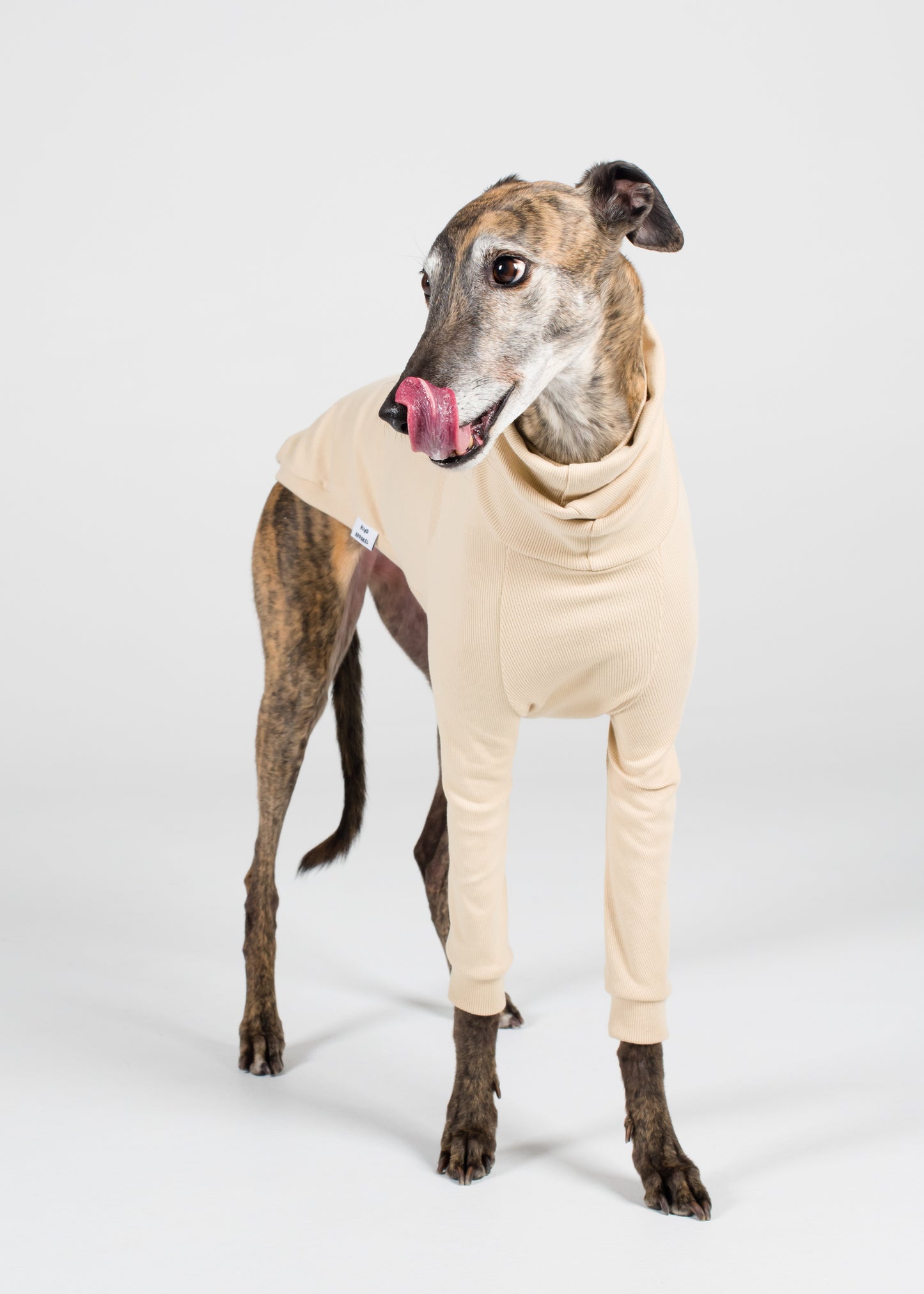 Greyhound Rib Jumper - Nude