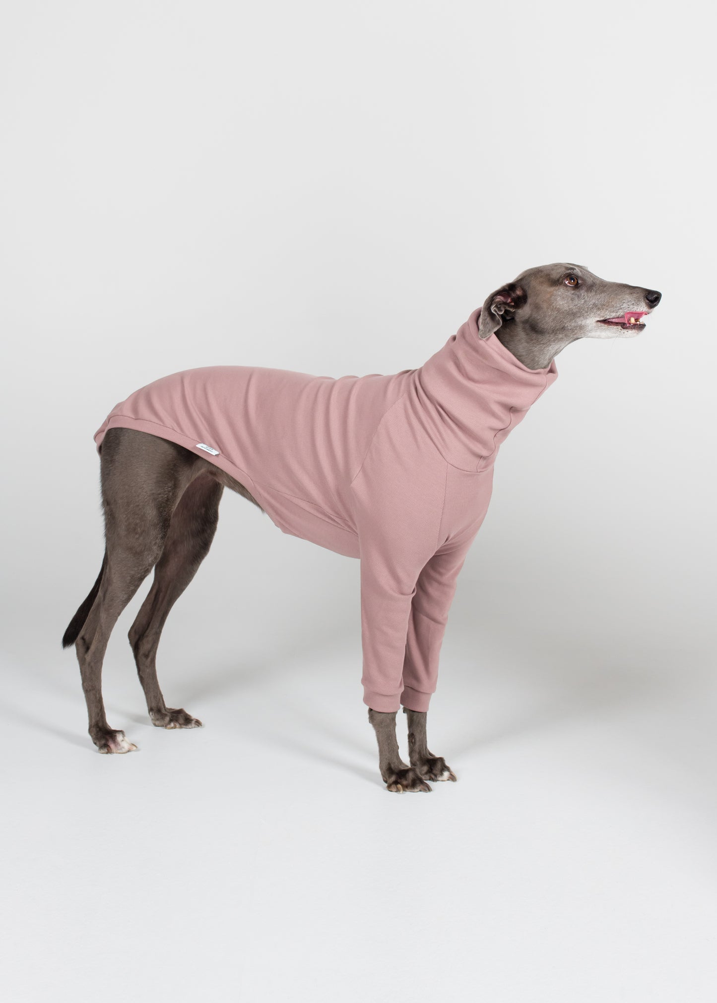 Greyhound Rib Jumper - Orchid