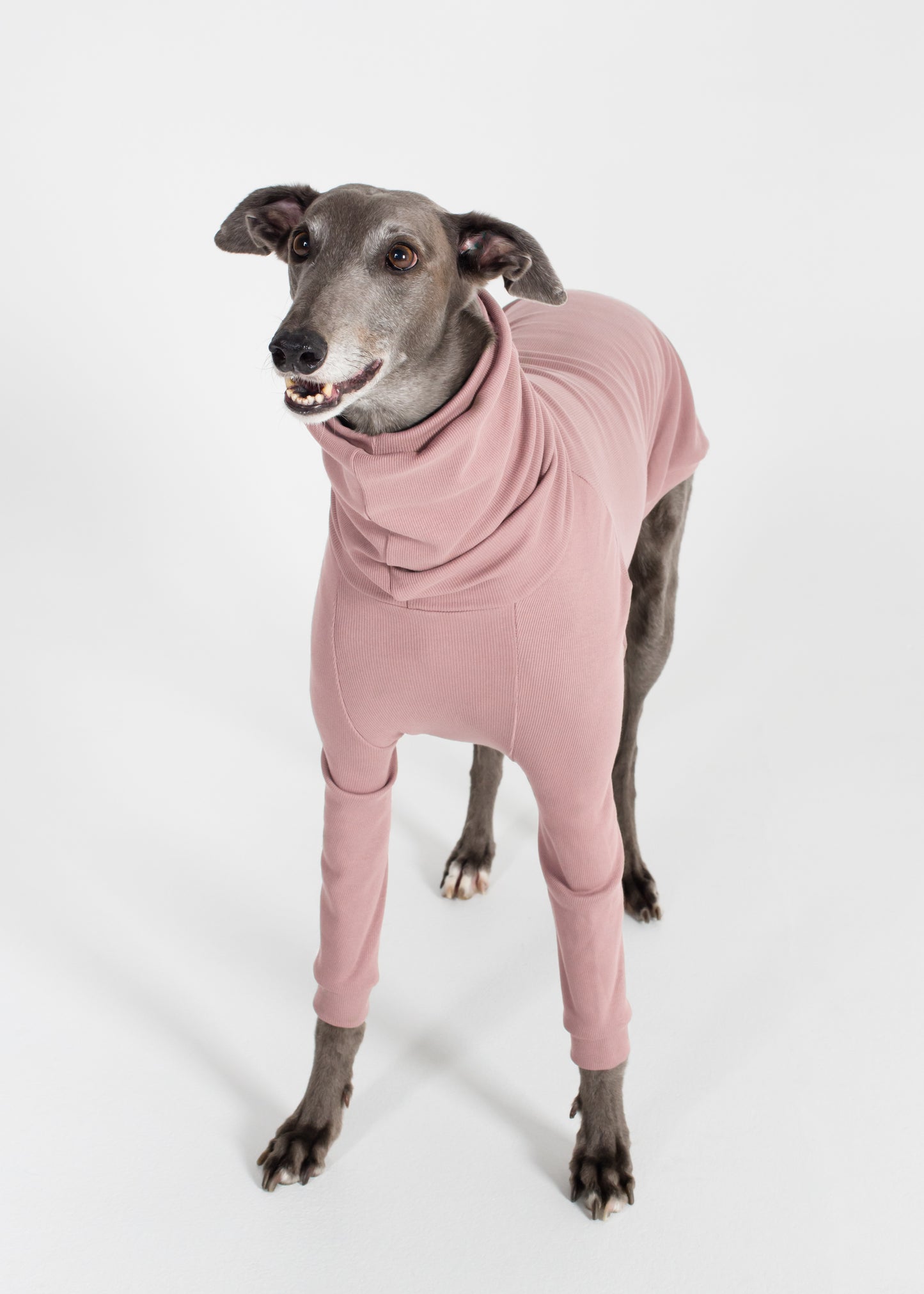 Greyhound Rib Jumper - Orchid