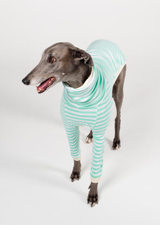 Greyhound Pyjama Jumper - Mint