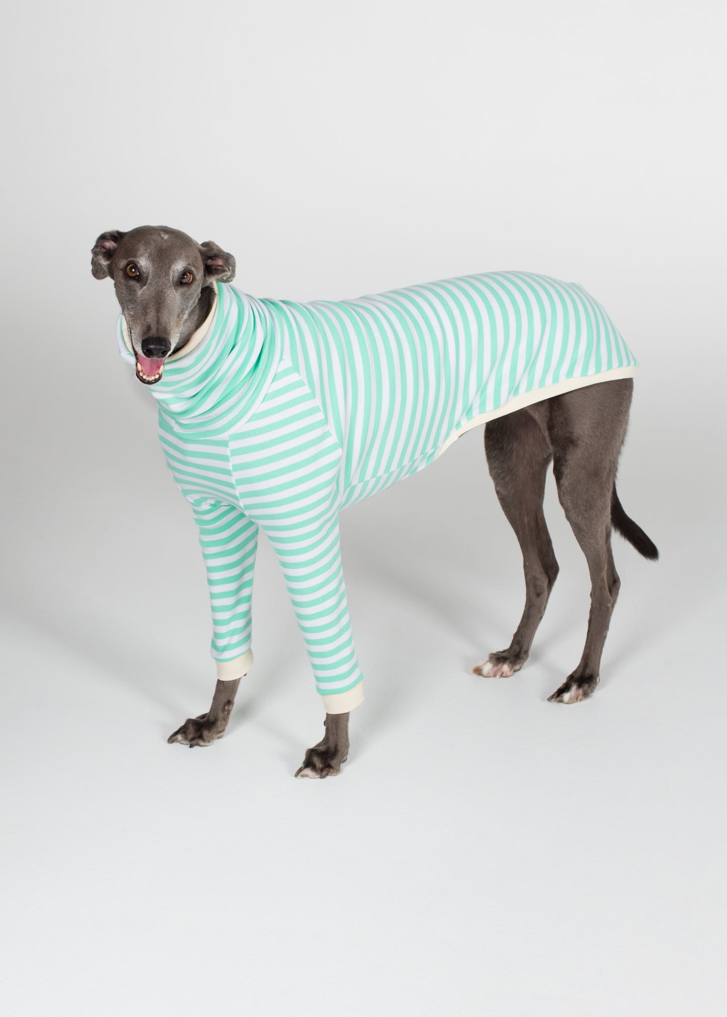 Greyhound Pyjama Jumper - Mint