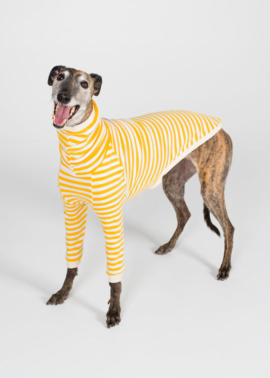 Greyhound Pyjama Jumper - Banana