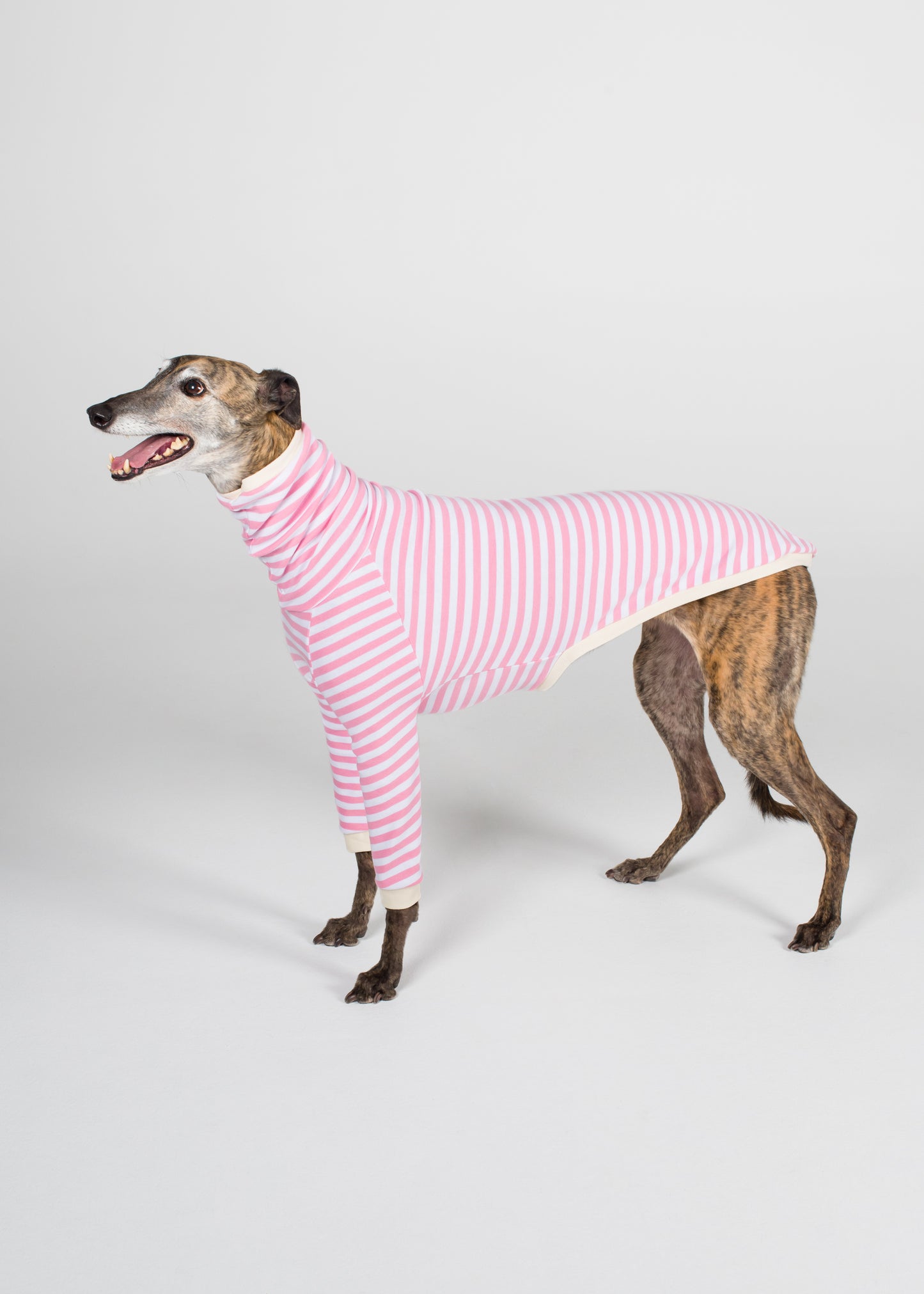 Greyhound Pyjama Jumper - Strawberry