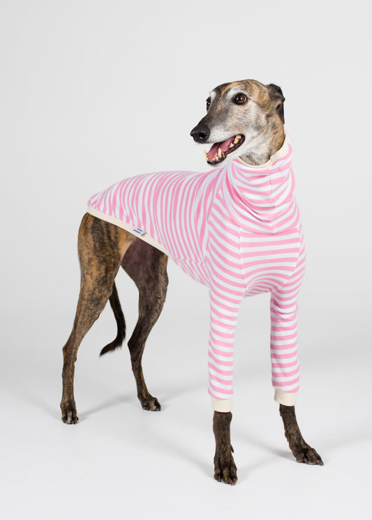 Greyhound Pyjama Jumper - Strawberry