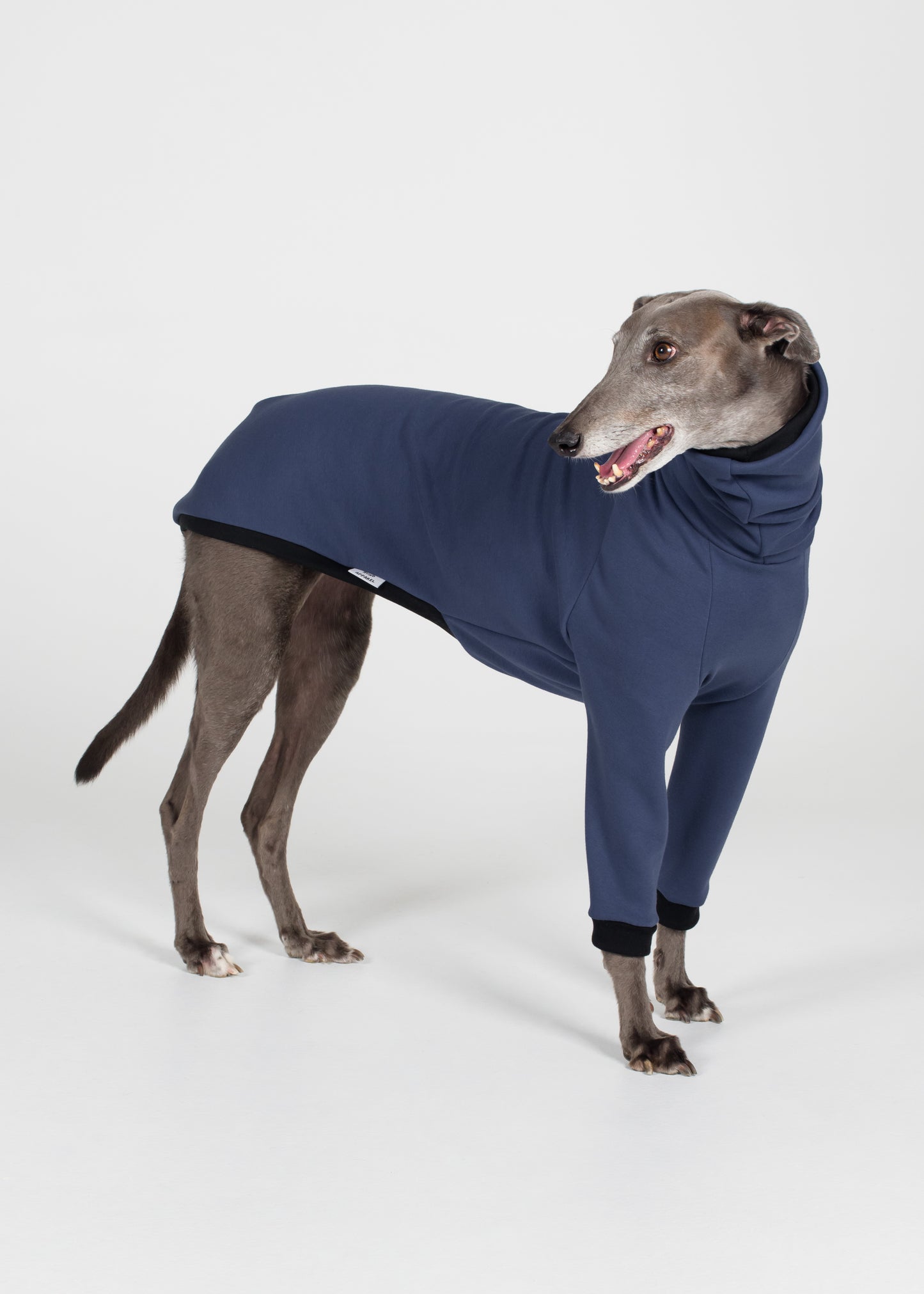 Greyhound Winter Jumper - Jeans