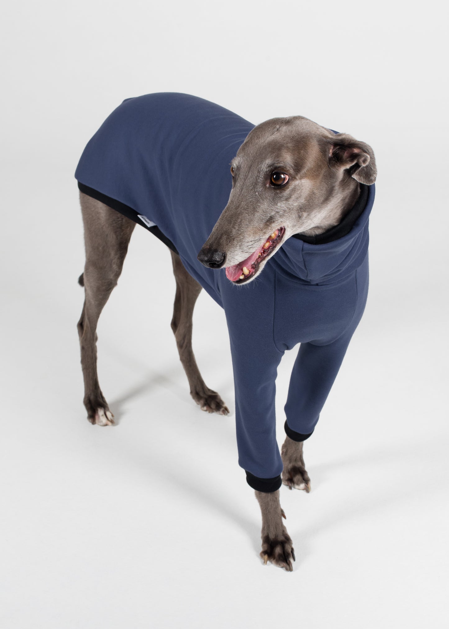 Greyhound Winter Jumper - Jeans