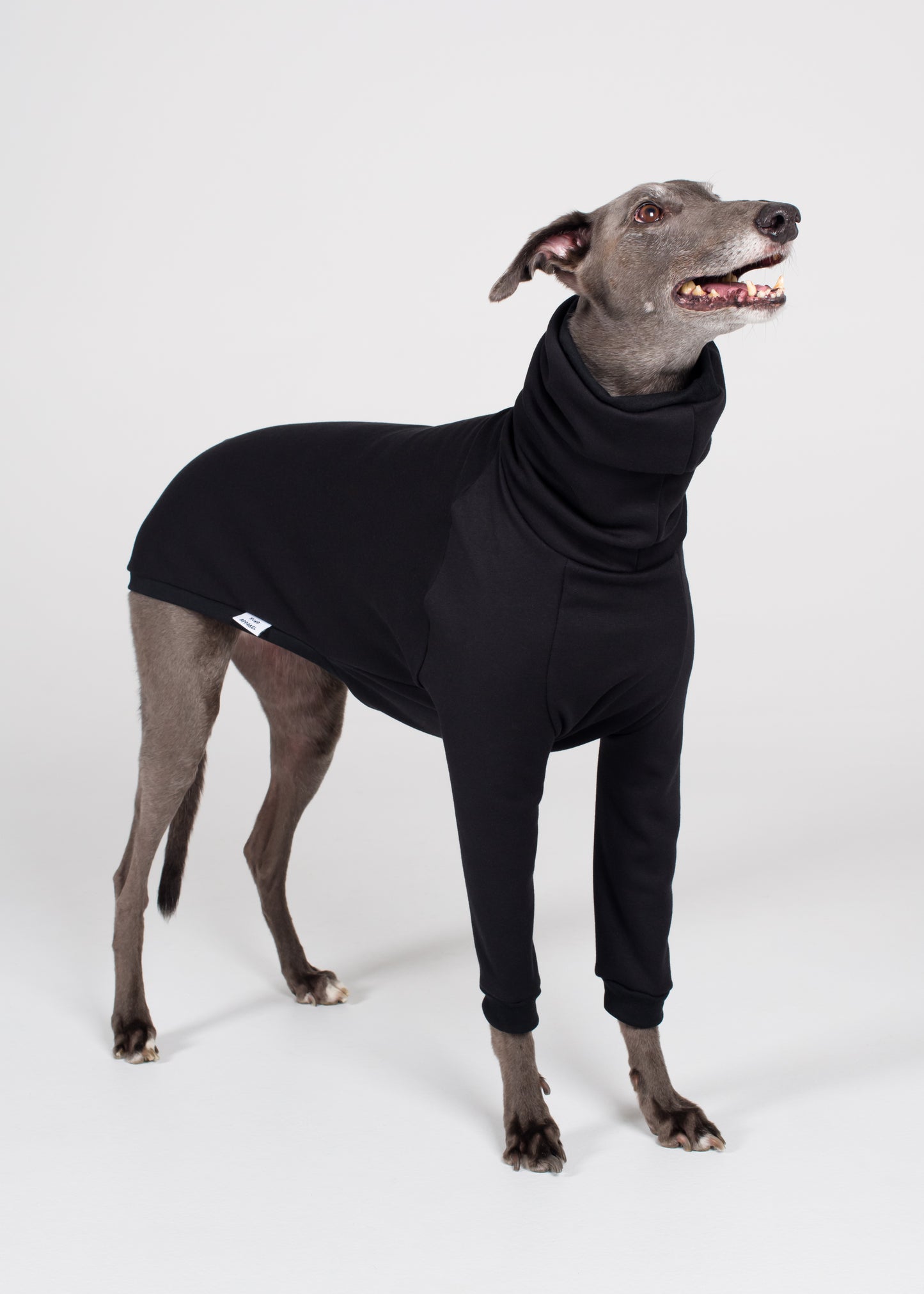 Greyhound Winter Jumper - Black