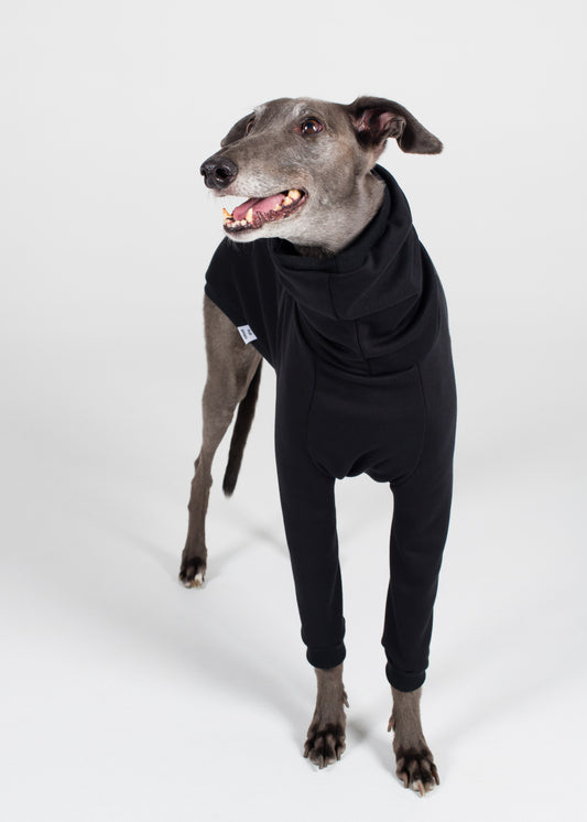 Greyhound Winter Jumper - Black