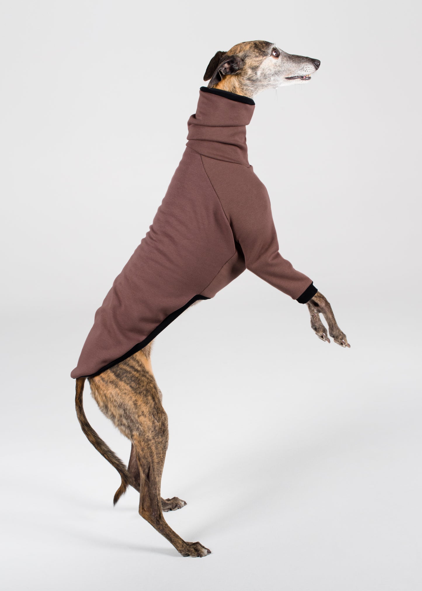 Greyhound Winter Jumper - Cocoa