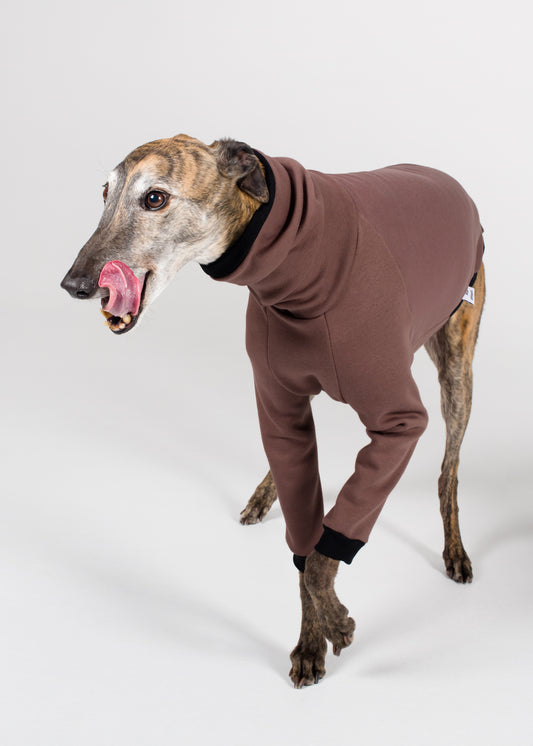 Greyhound Winter Jumper - Cocoa