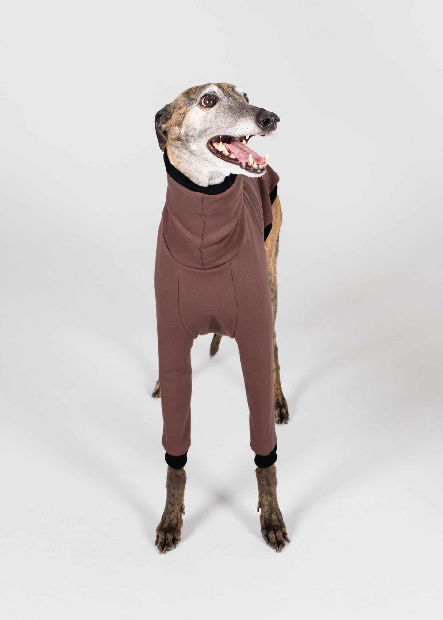 Greyhound Winter Jumper - Cocoa