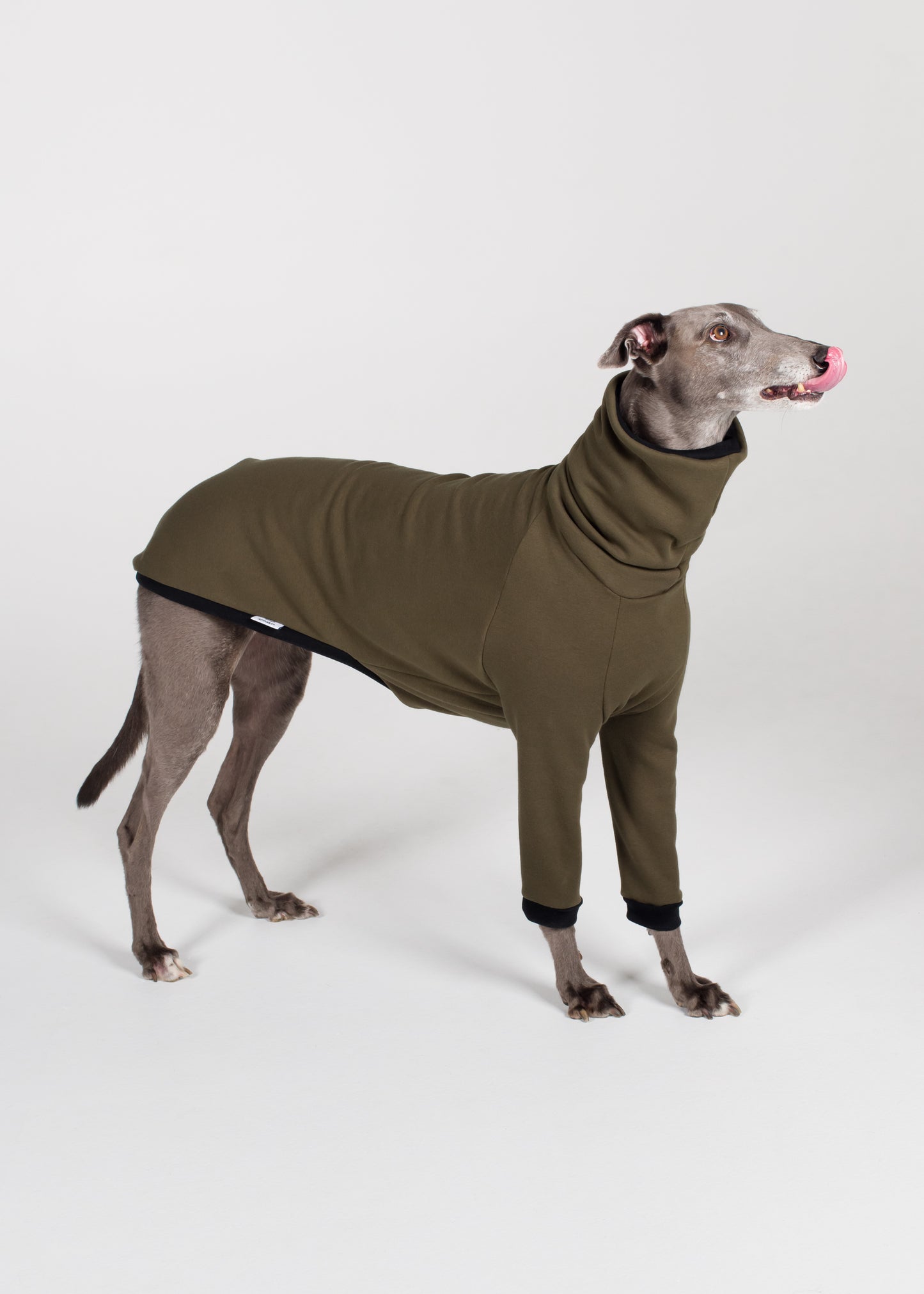 Greyhound Winter Jumper - Khaki