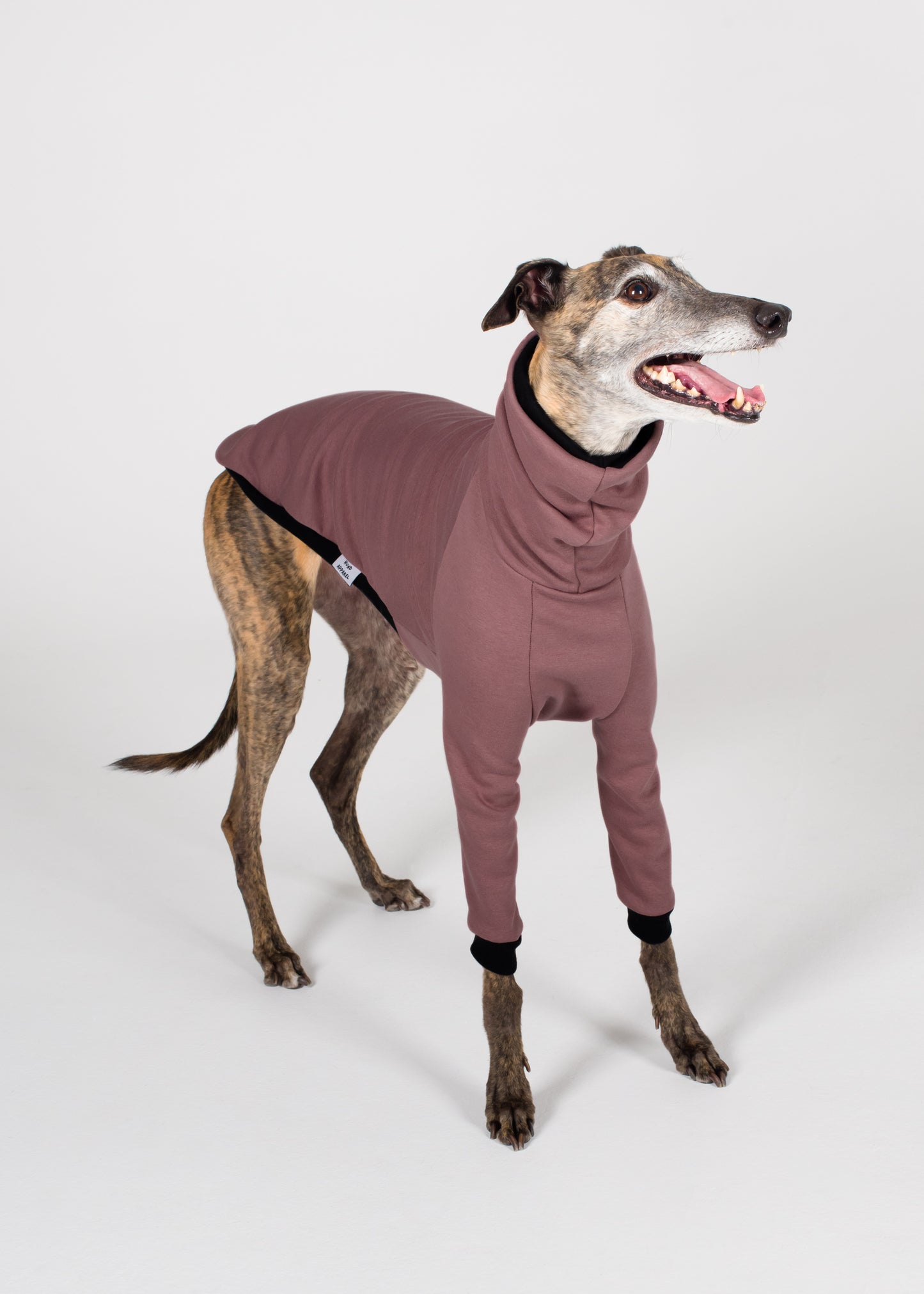 Greyhound Winter Jumper - Blush