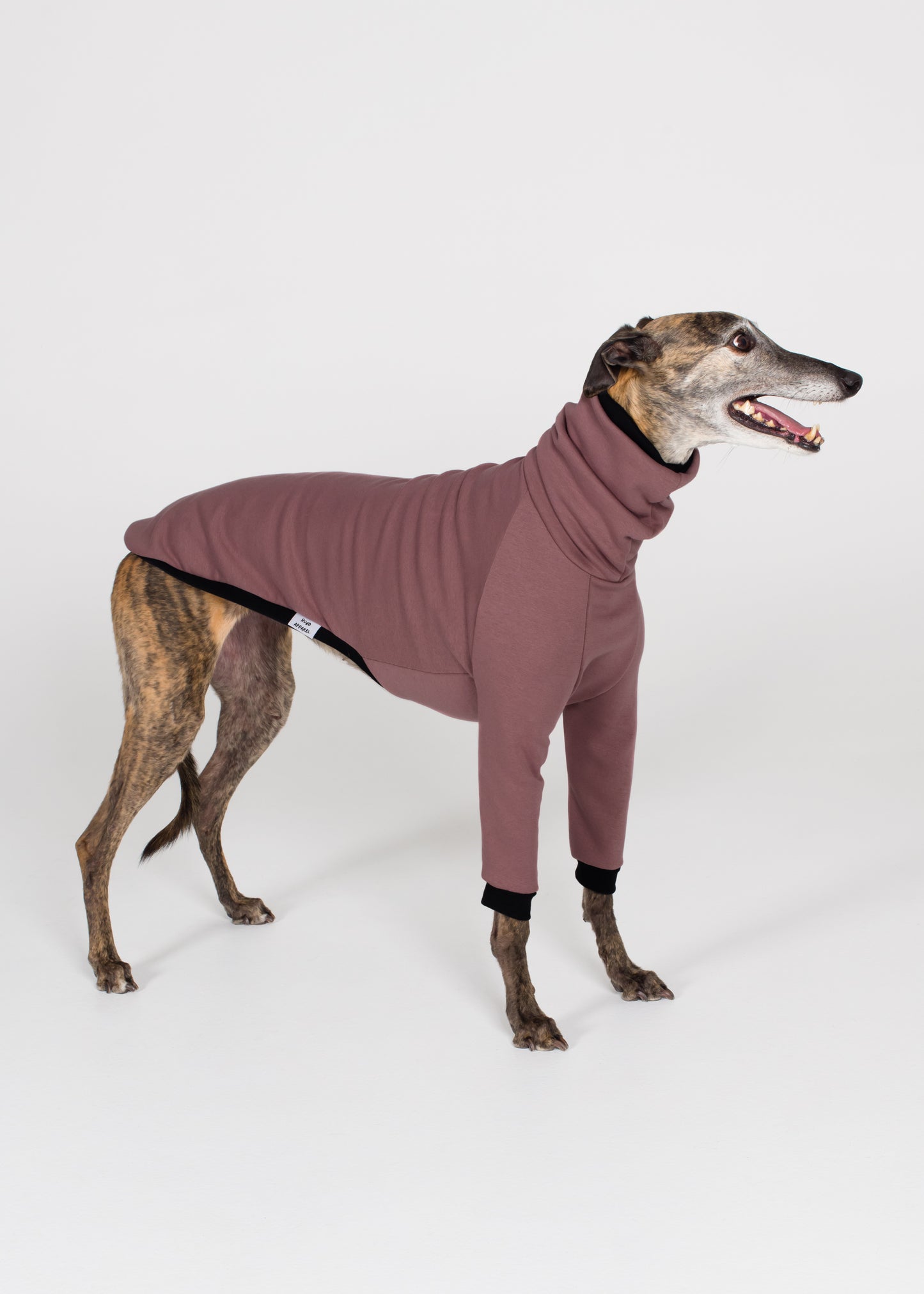 Greyhound Winter Jumper - Blush