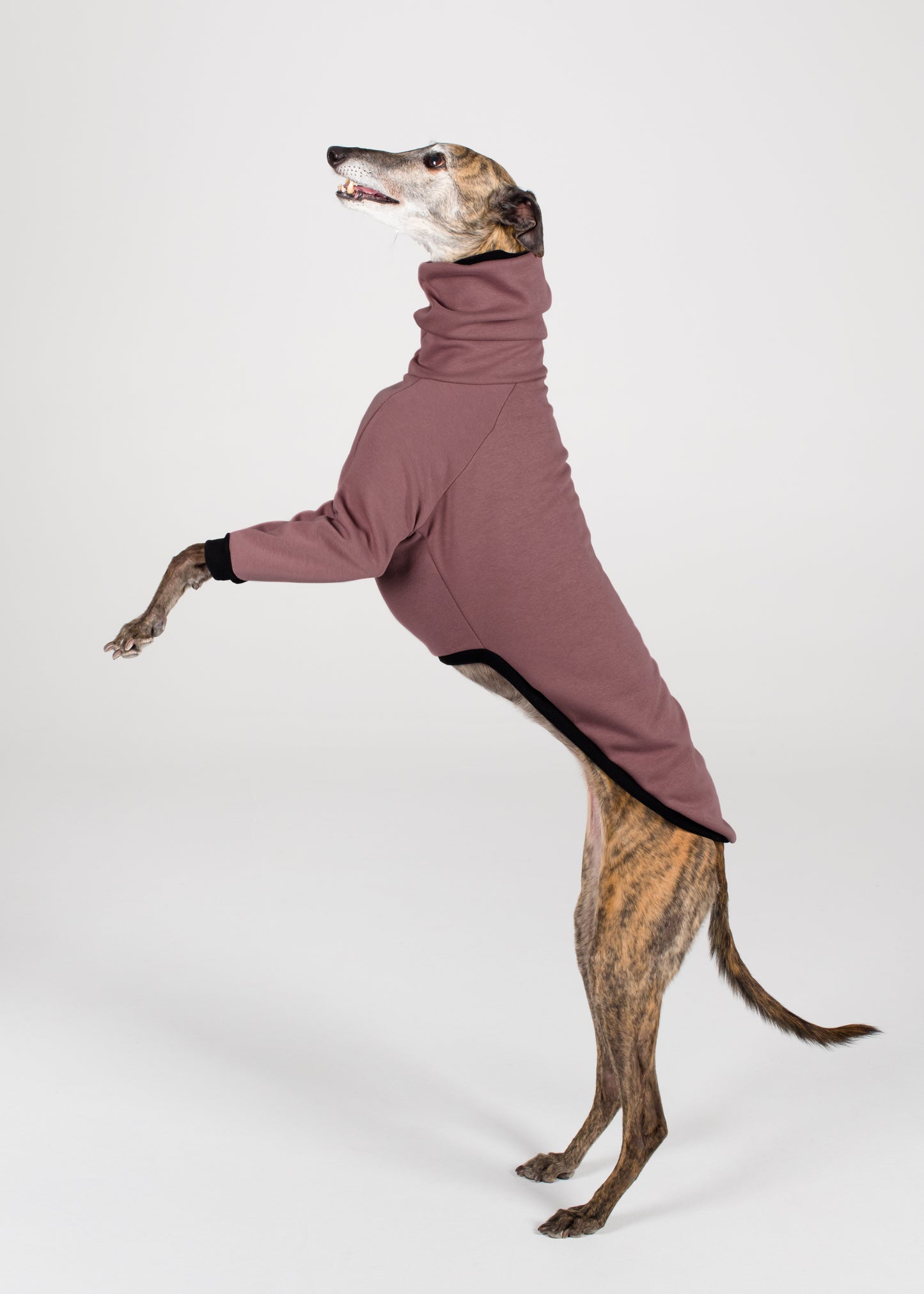 Greyhound Winter Jumper - Blush