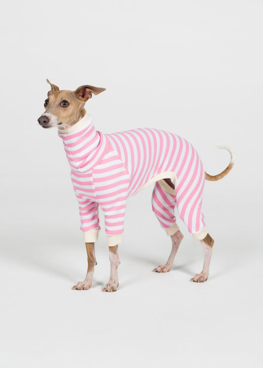 Italian Greyhound Pyjama Full Suit - Strawberry