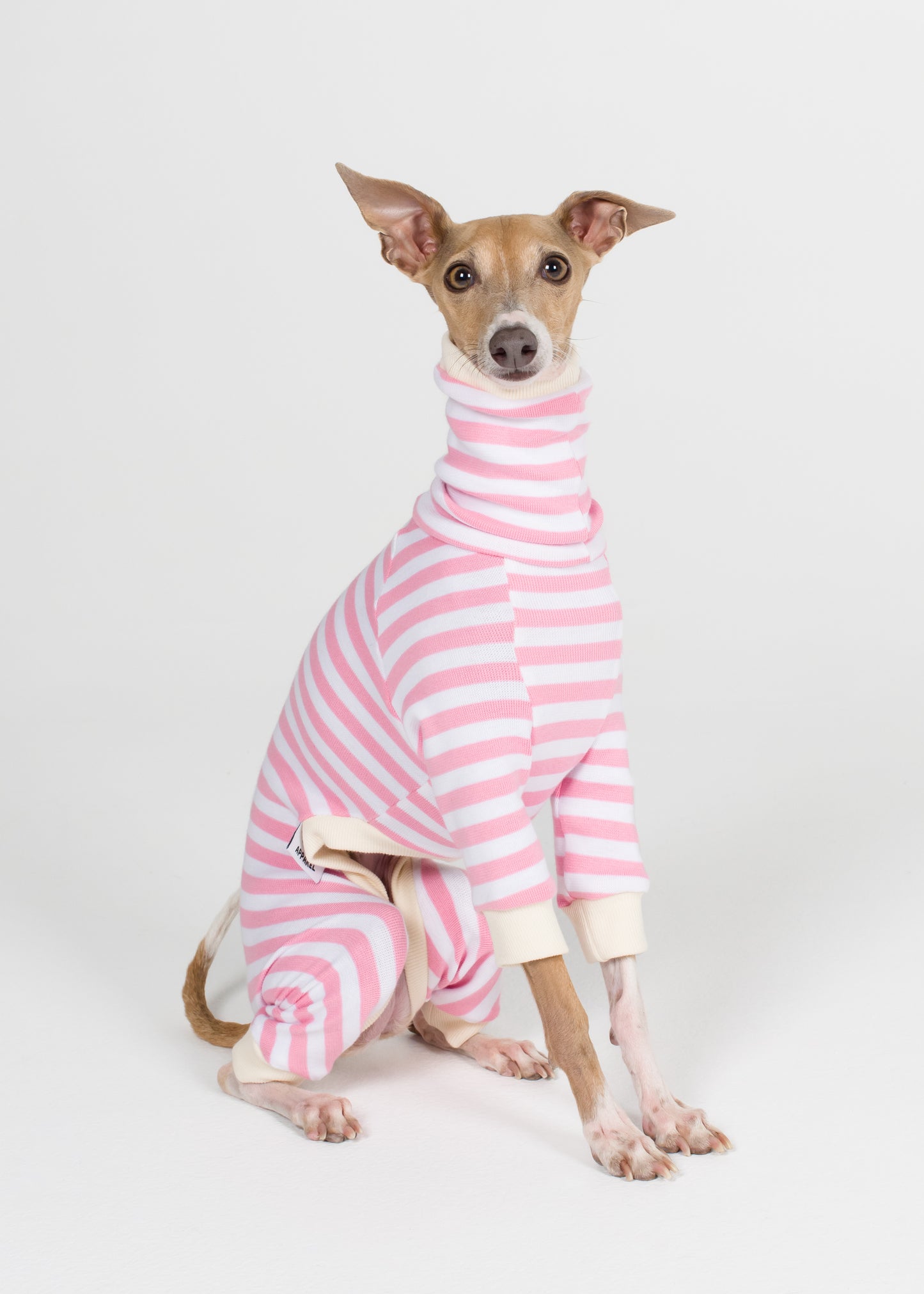 Italian Greyhound Pyjama Full Suit - Strawberry