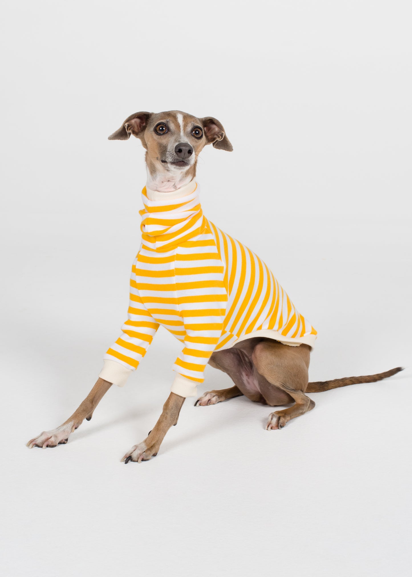 Italian Greyhound Pyjama Jumper - Banana