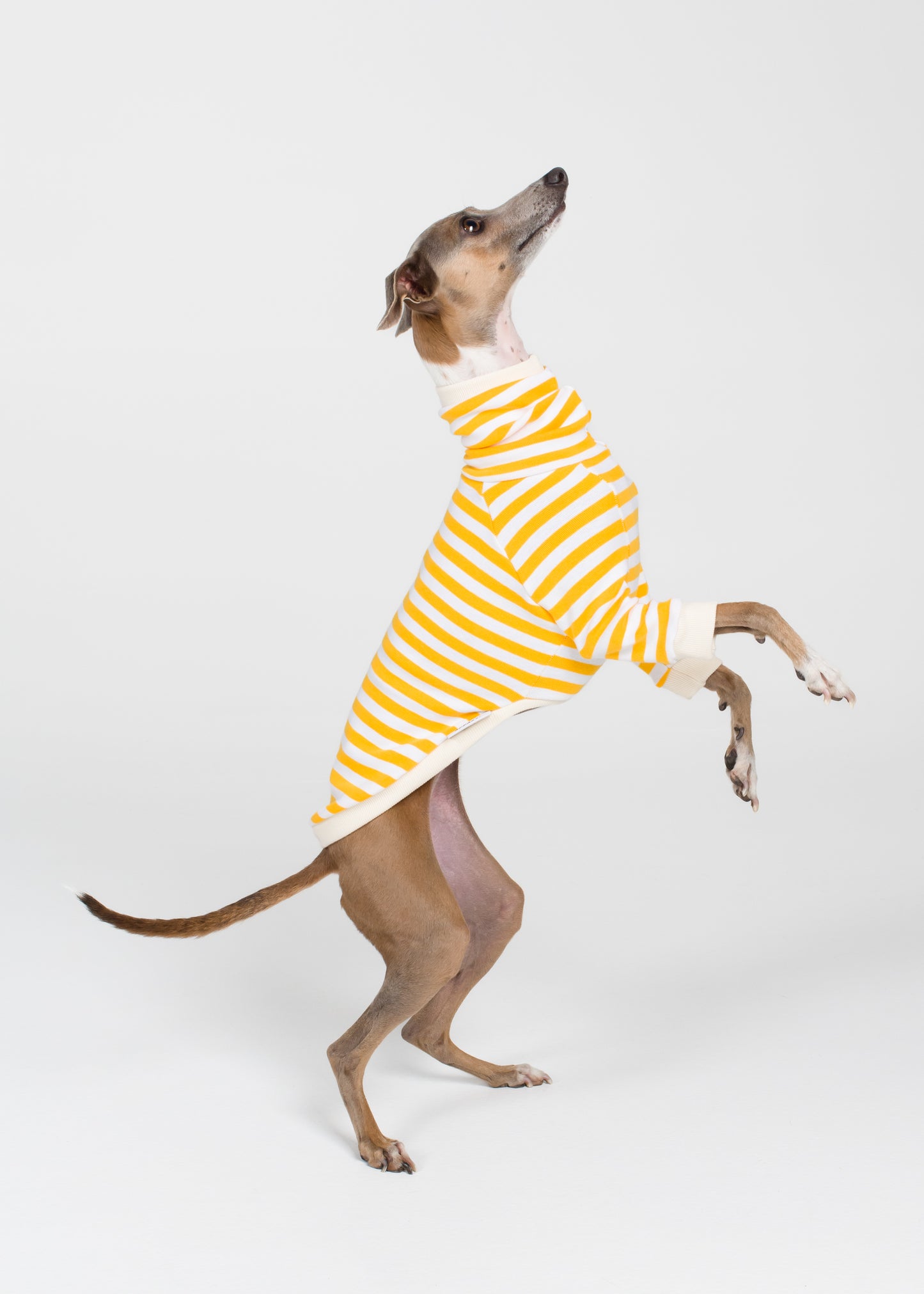 Italian Greyhound Pyjama Jumper - Banana