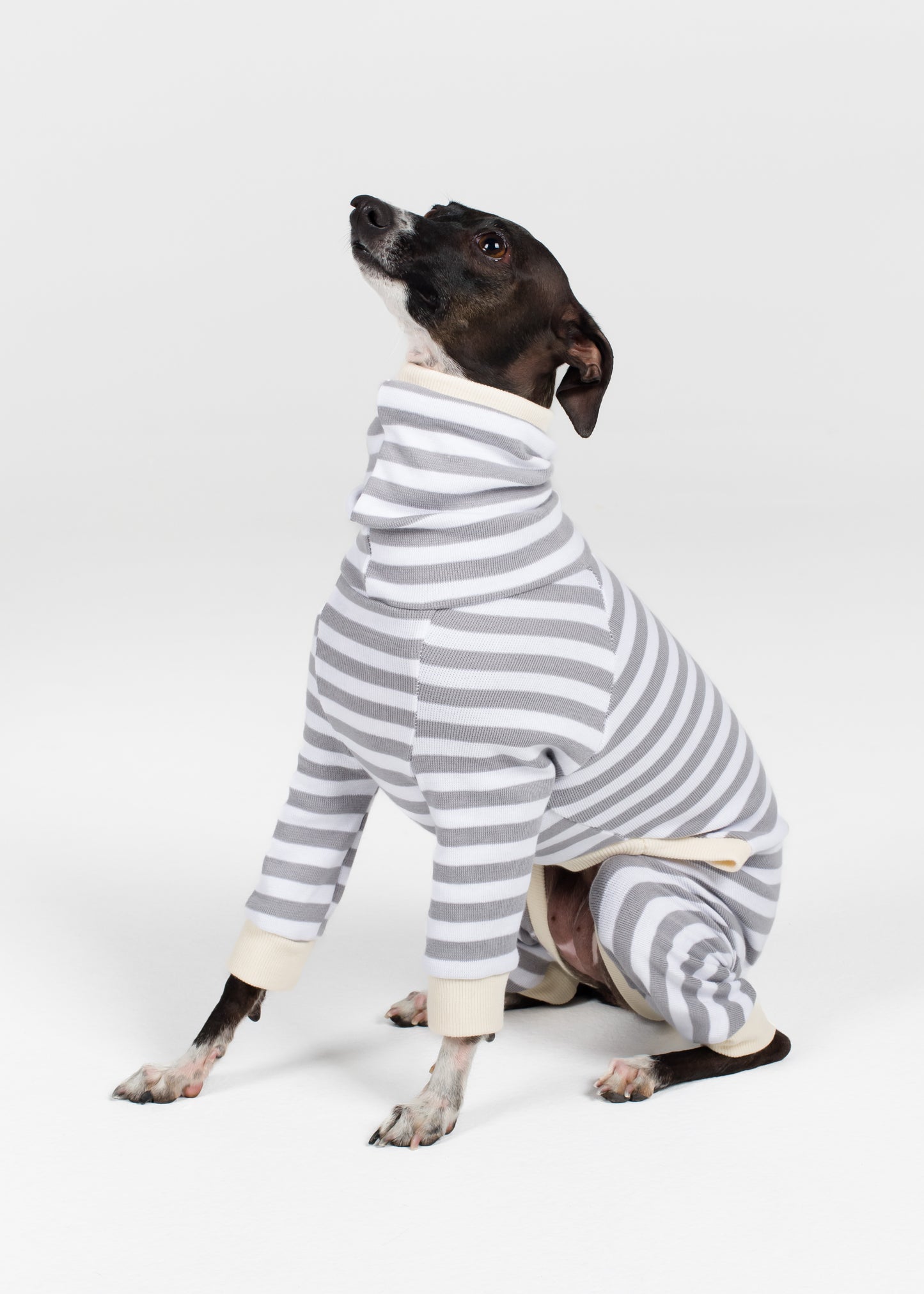 Italian Greyhound Pyjama Full Suit - Liquorice