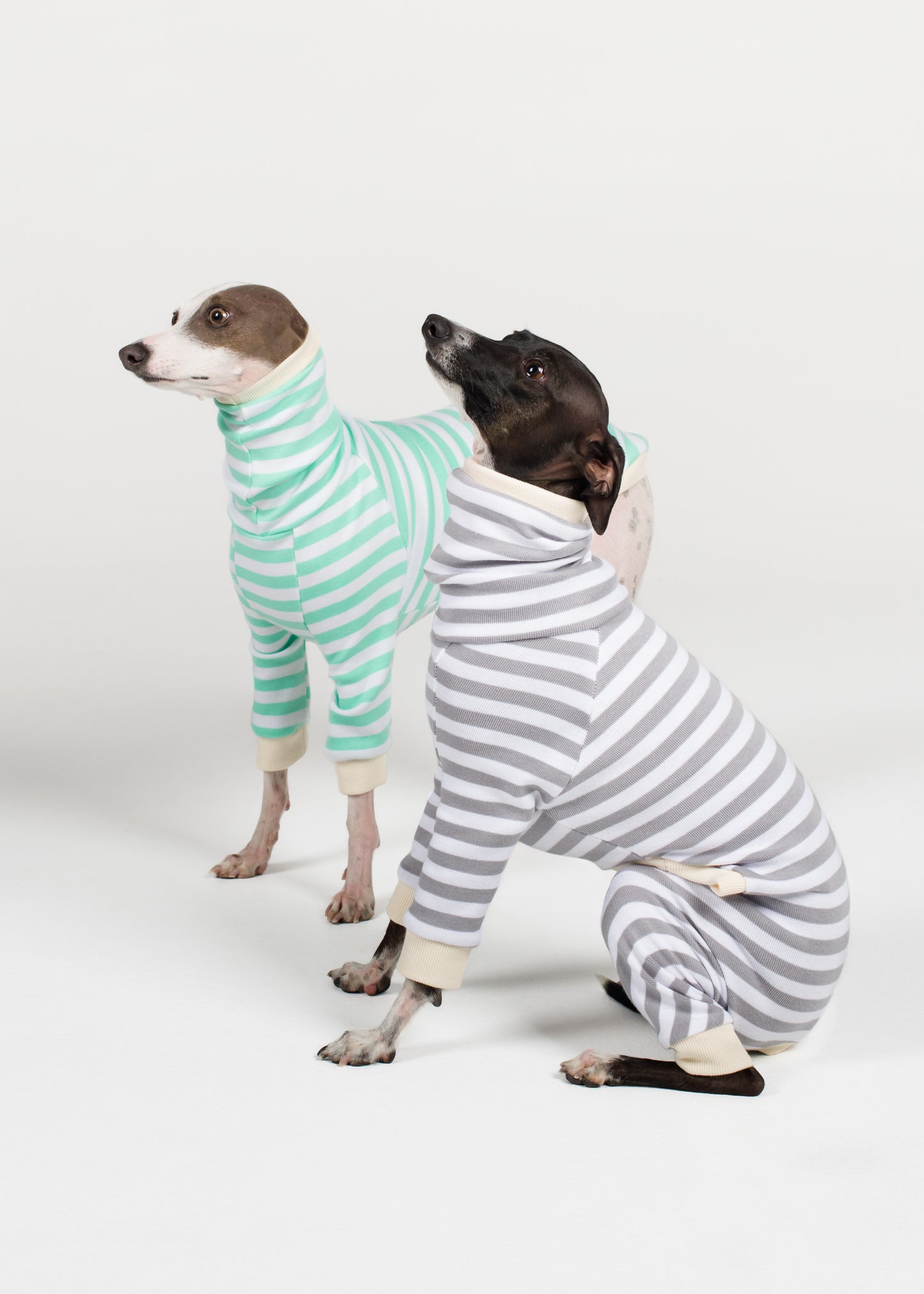 Italian Greyhound Pyjama Full Suit - Liquorice