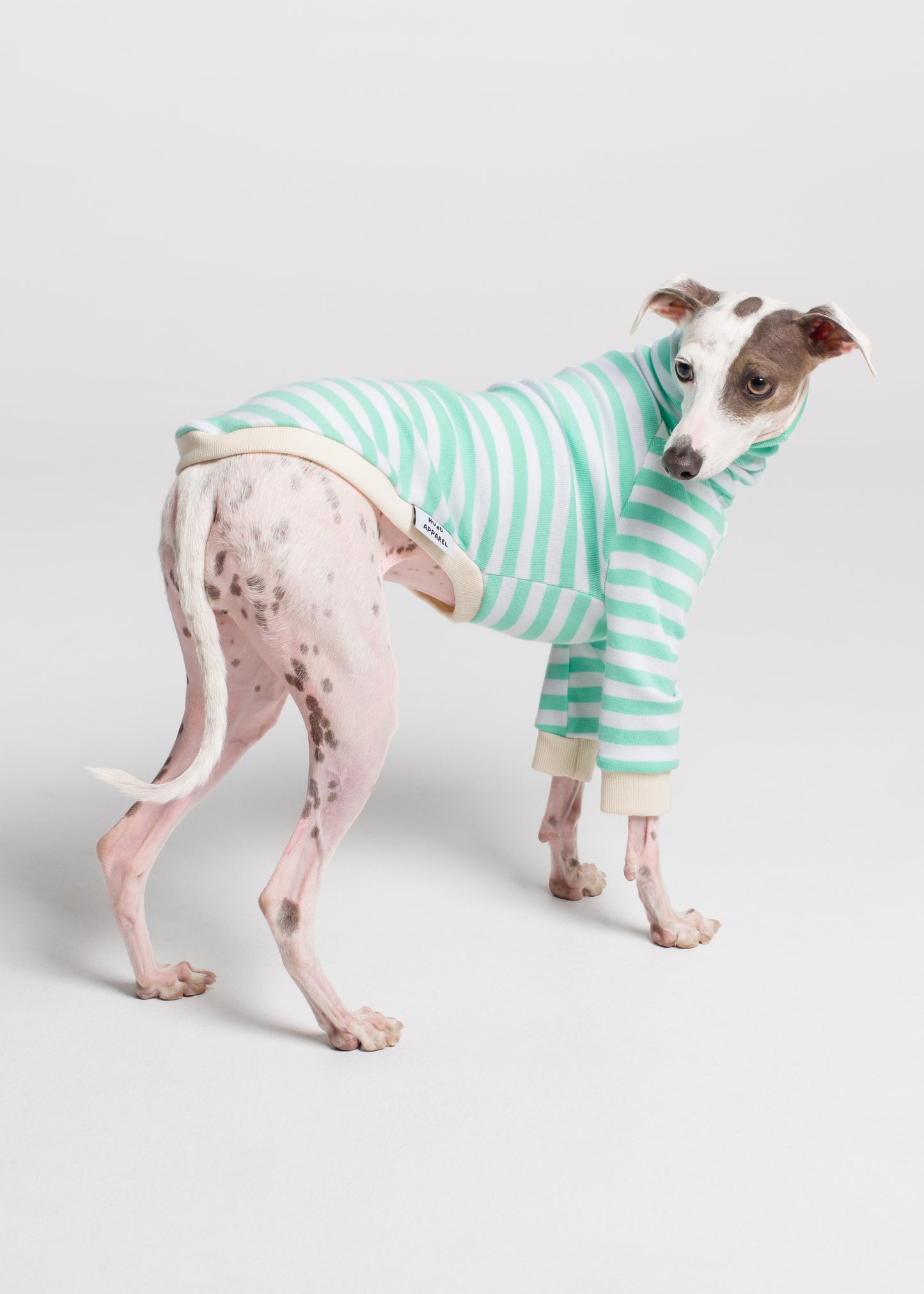 Italian Greyhound Pyjama Jumper - Mint