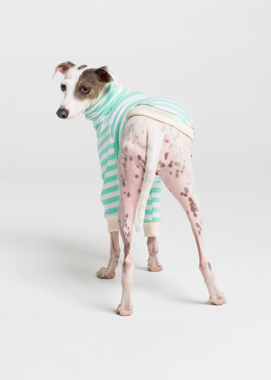 Italian Greyhound Pyjama Jumper - Mint