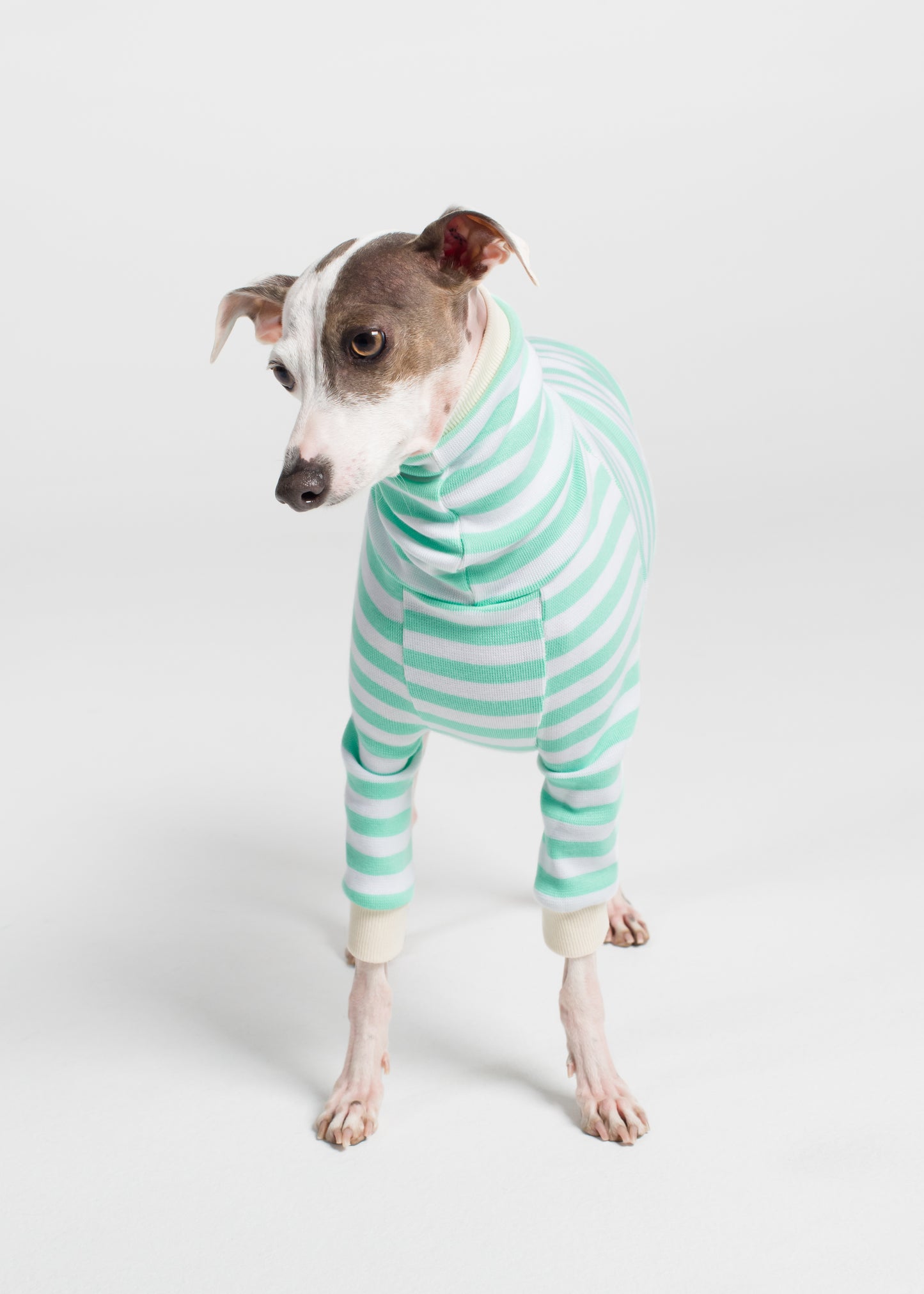 Italian Greyhound Pyjama Jumper - Mint