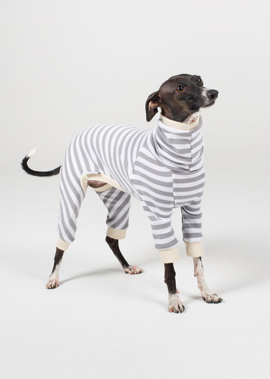 Italian Greyhound Pyjama Full Suit - Liquorice