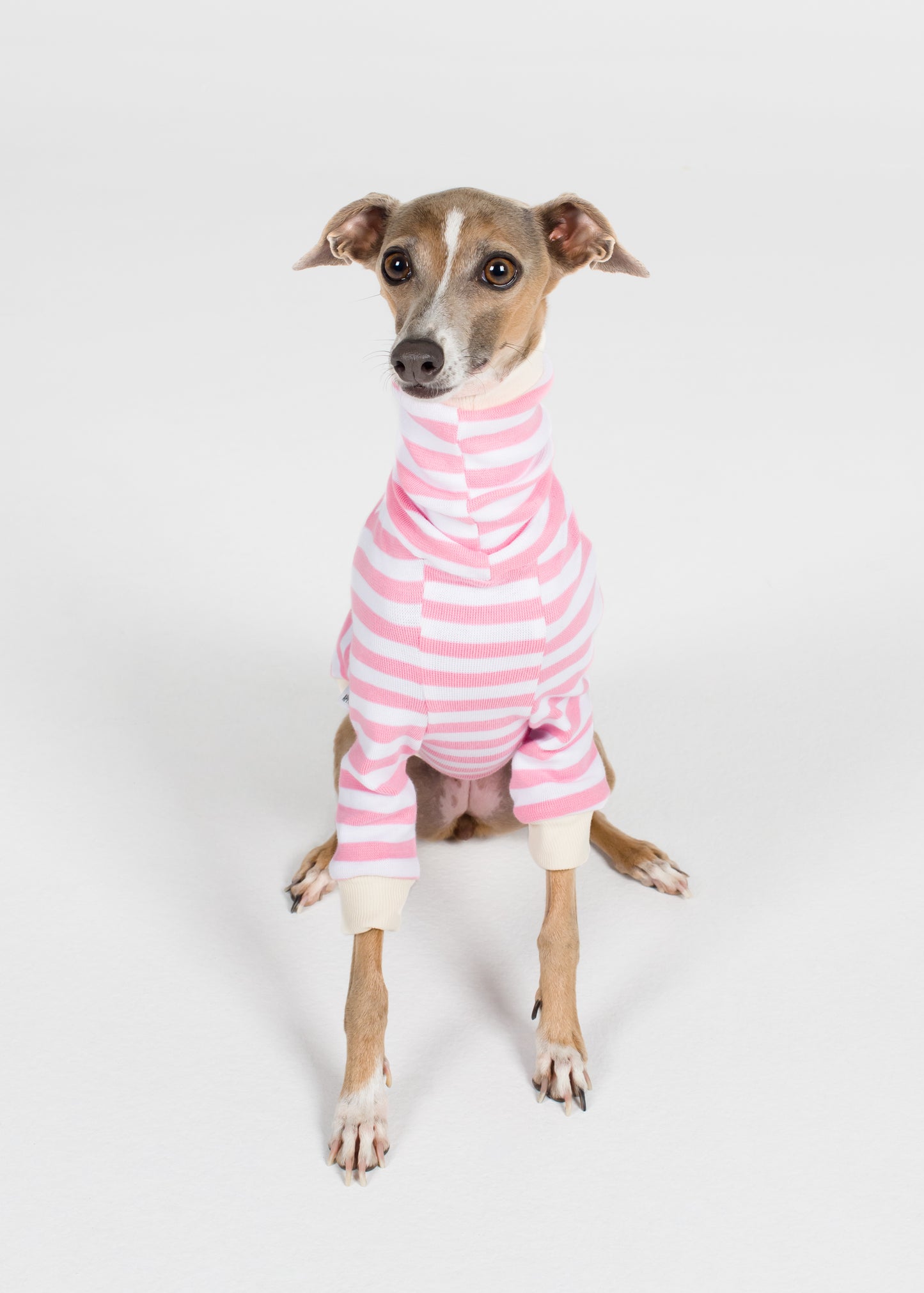 Italian Greyhound Pyjama Jumper - Strawberry