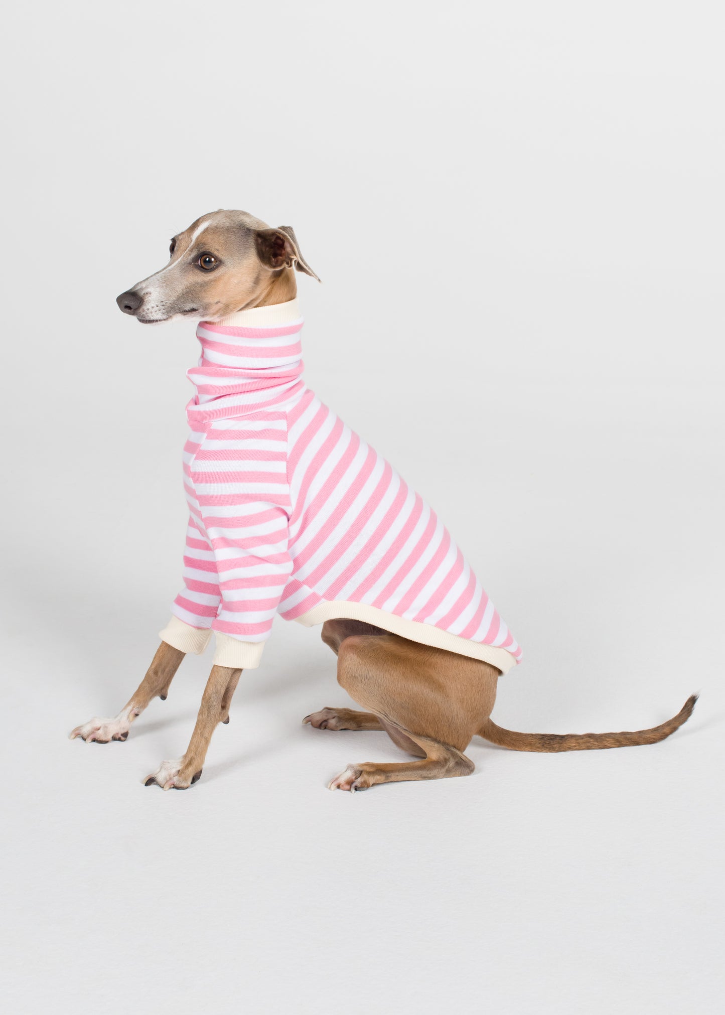 Italian Greyhound Pyjama Jumper - Strawberry