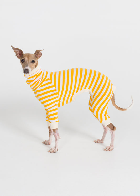 Italian Greyhound Pyjama Full Suit - Banana