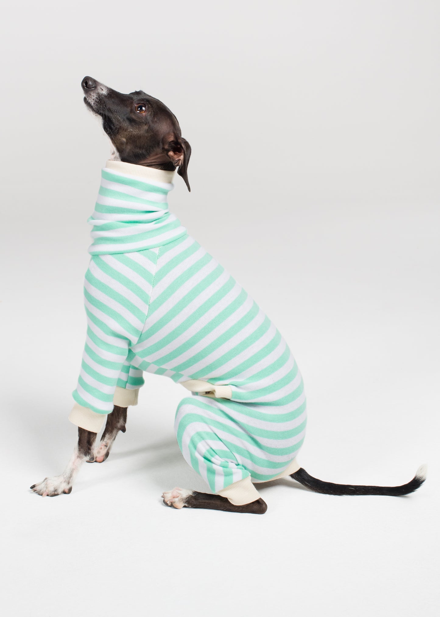 Italian Greyhound Pyjama Full Suit - Mint