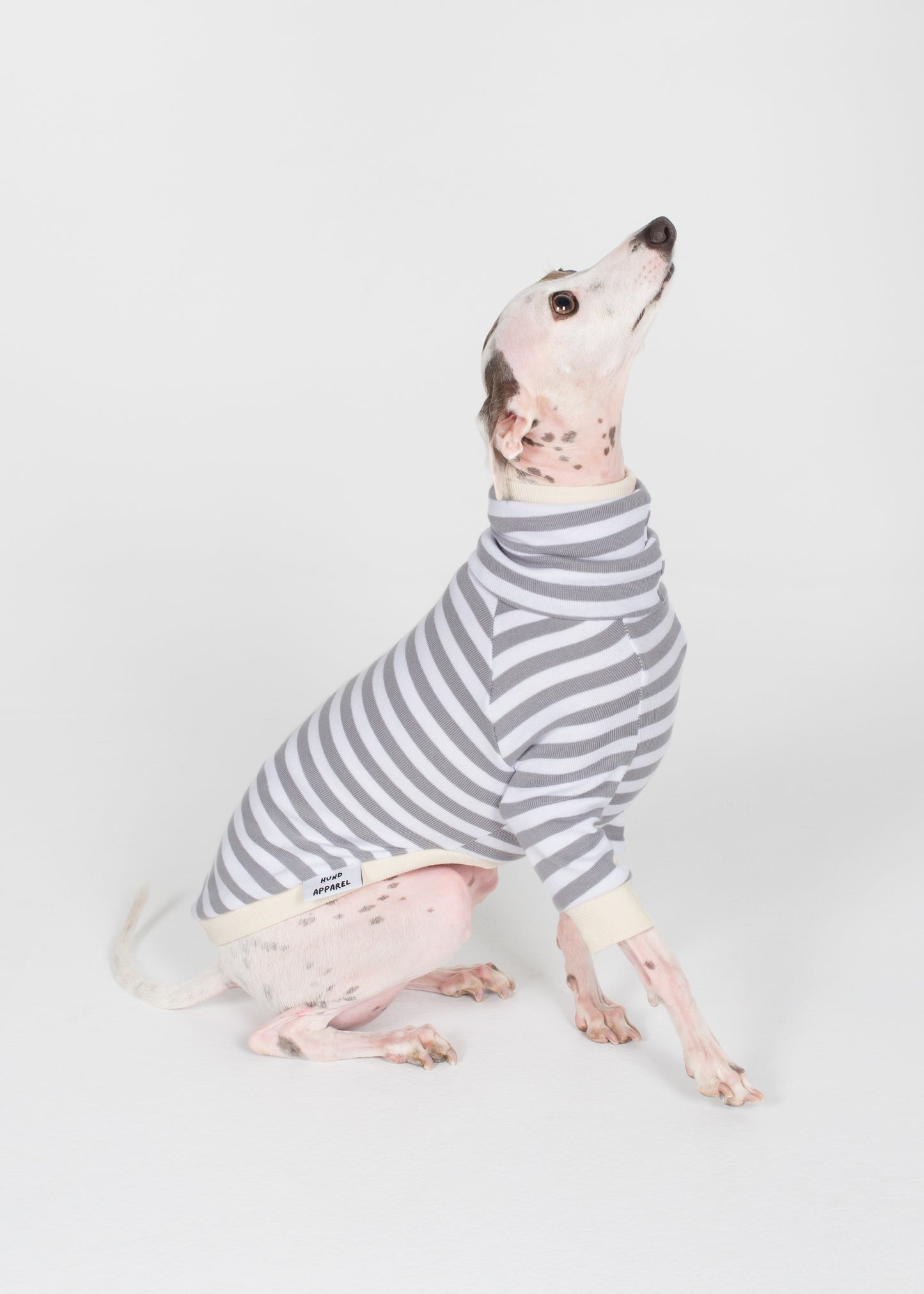 Italian Greyhound Pyjama Jumper - Liquorice