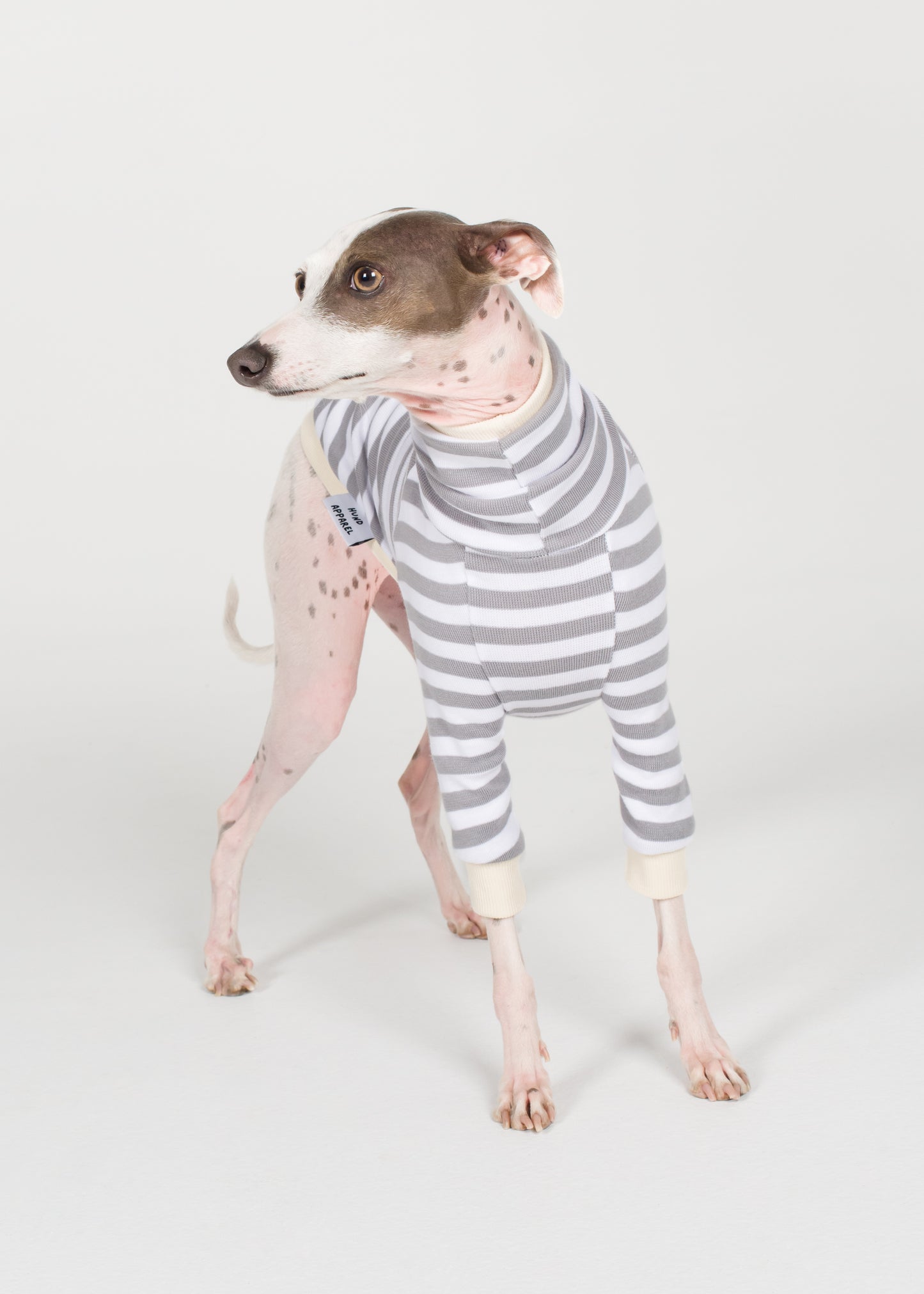 Italian Greyhound Pyjama Jumper - Liquorice