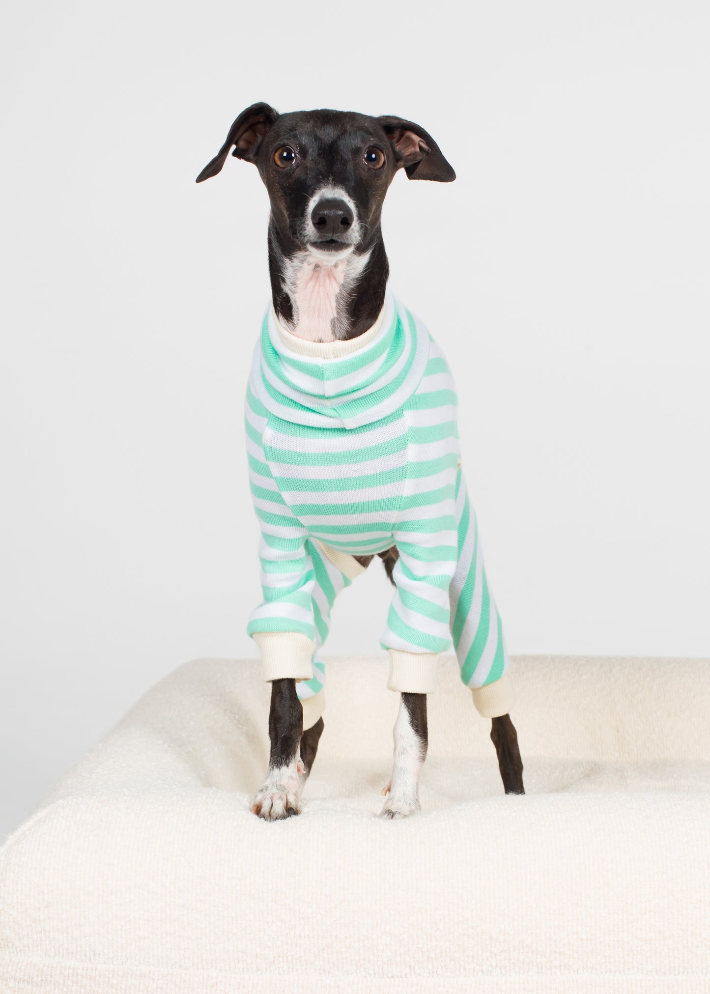 Italian Greyhound Pyjama Full Suit - Mint