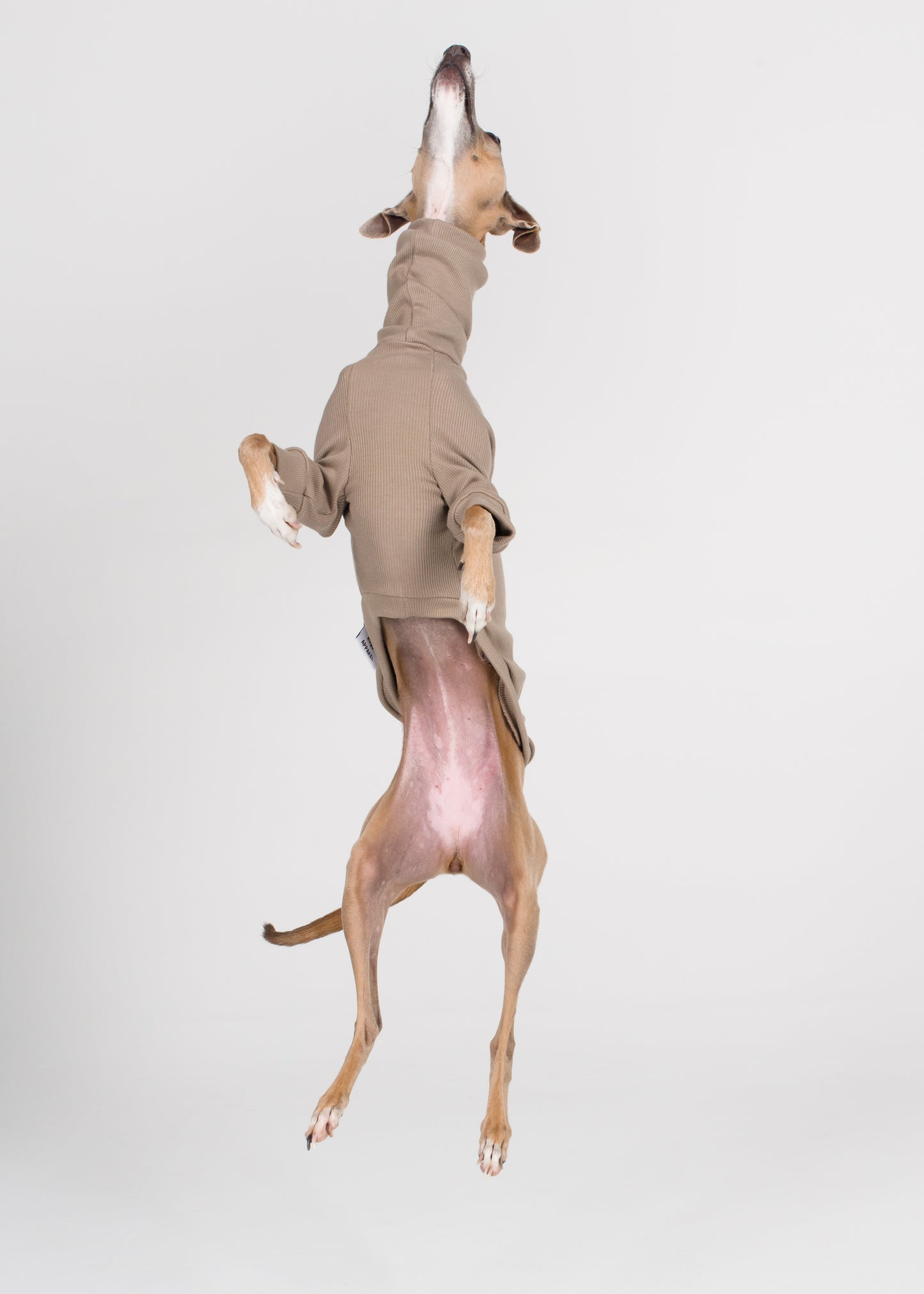 Italian Greyhound Rib Jumper - Truffle