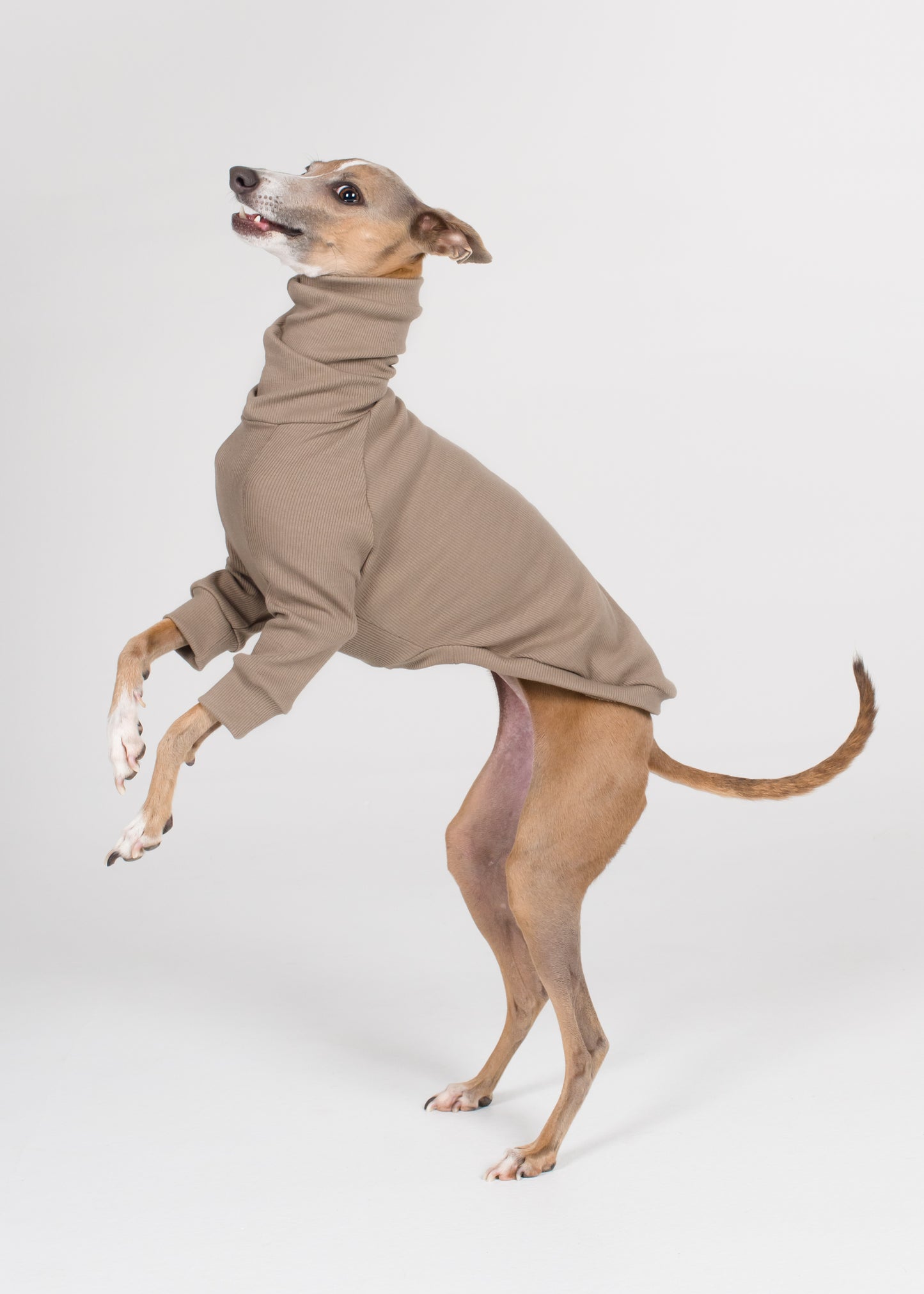 Italian Greyhound Rib Jumper - Truffle