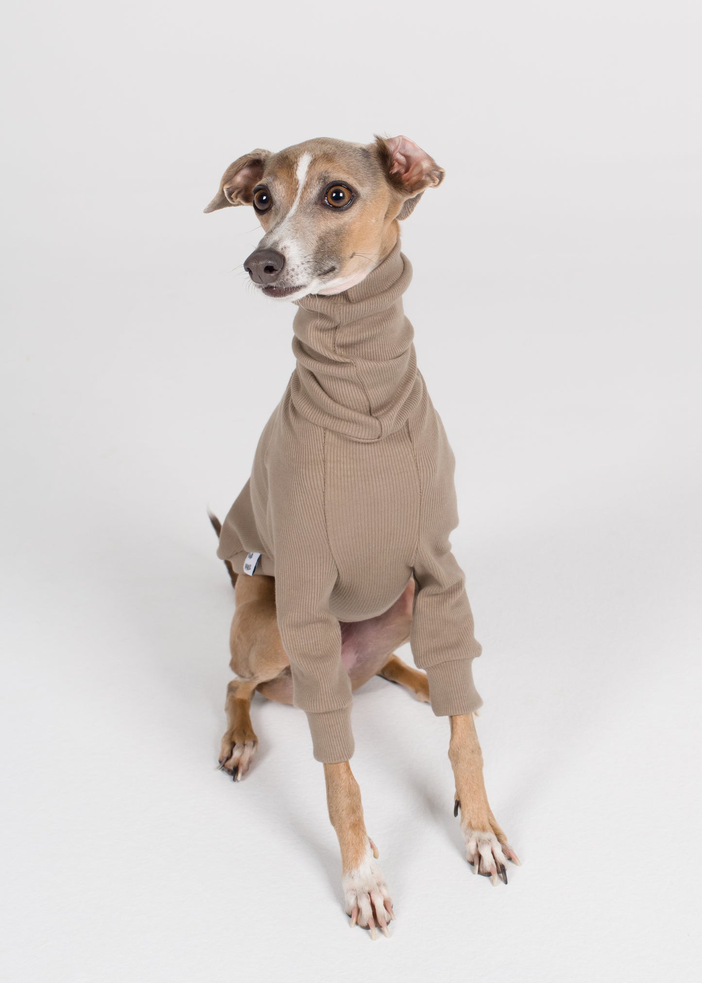 Italian Greyhound Rib Jumper - Truffle