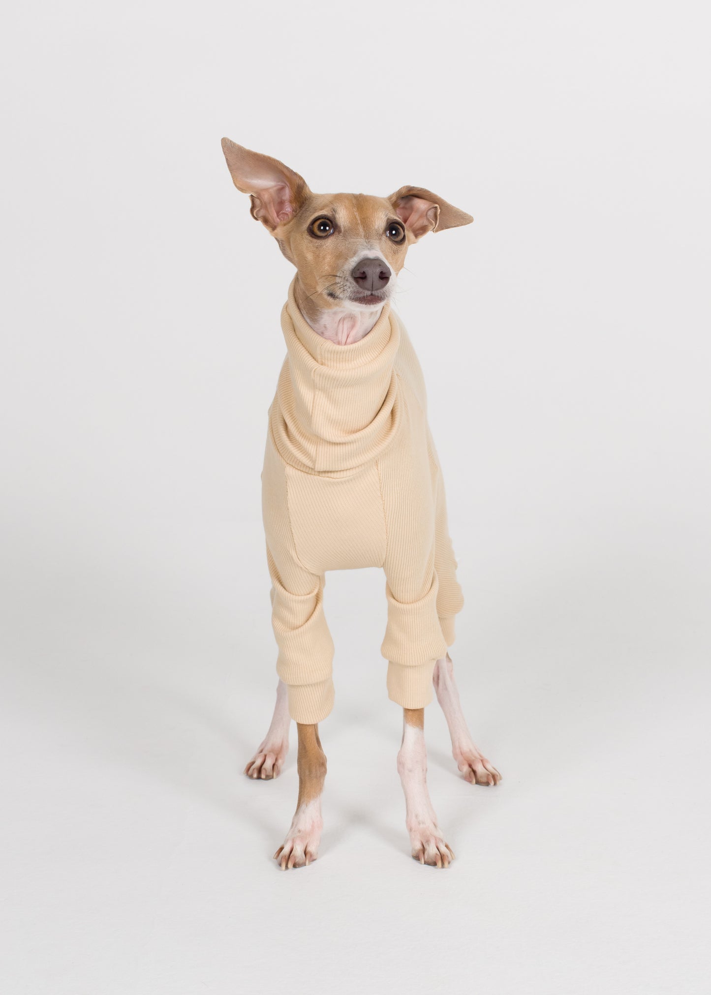 Italian Greyhound Rib Full Suit - Nude