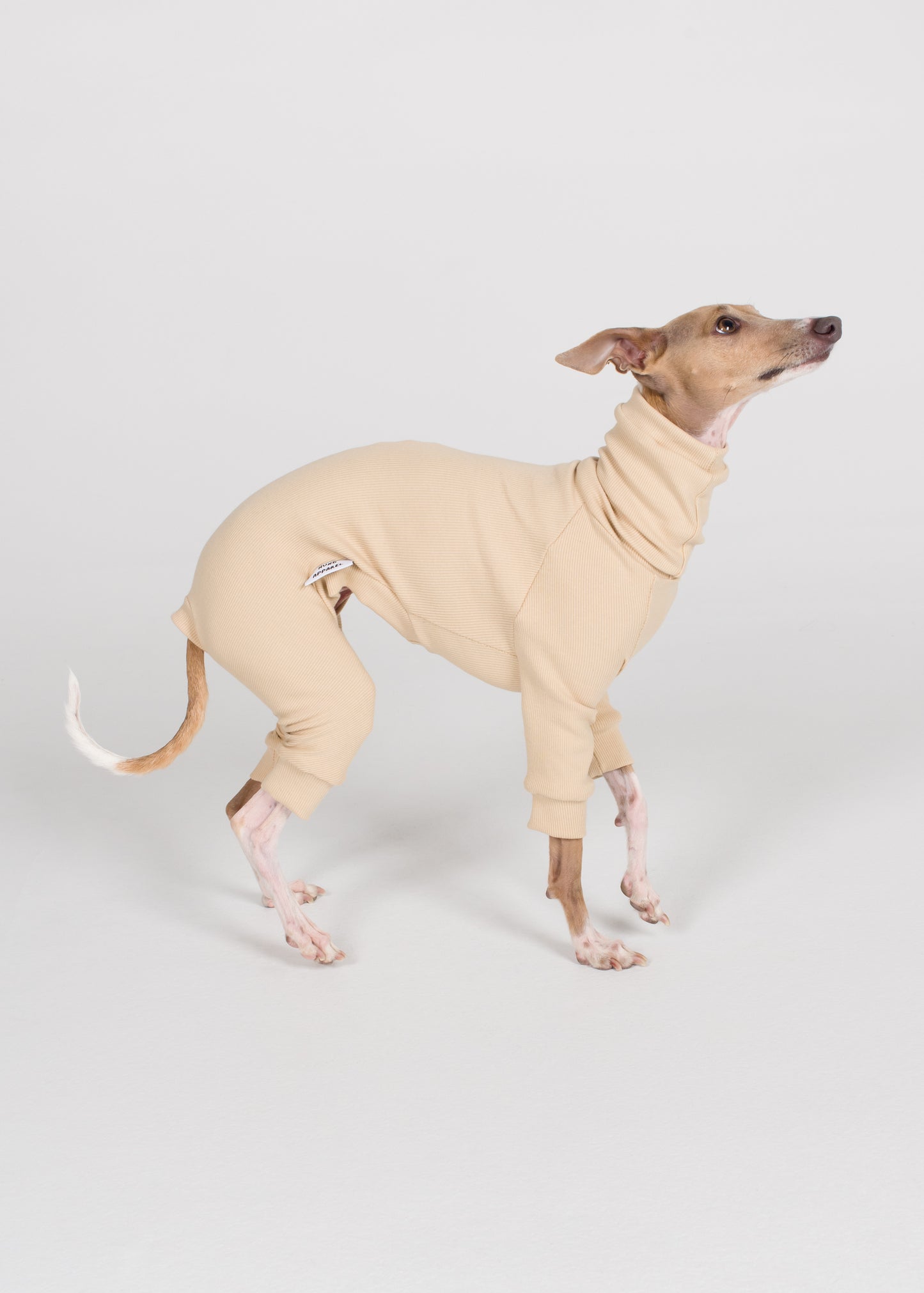 Italian Greyhound Rib Full Suit - Nude