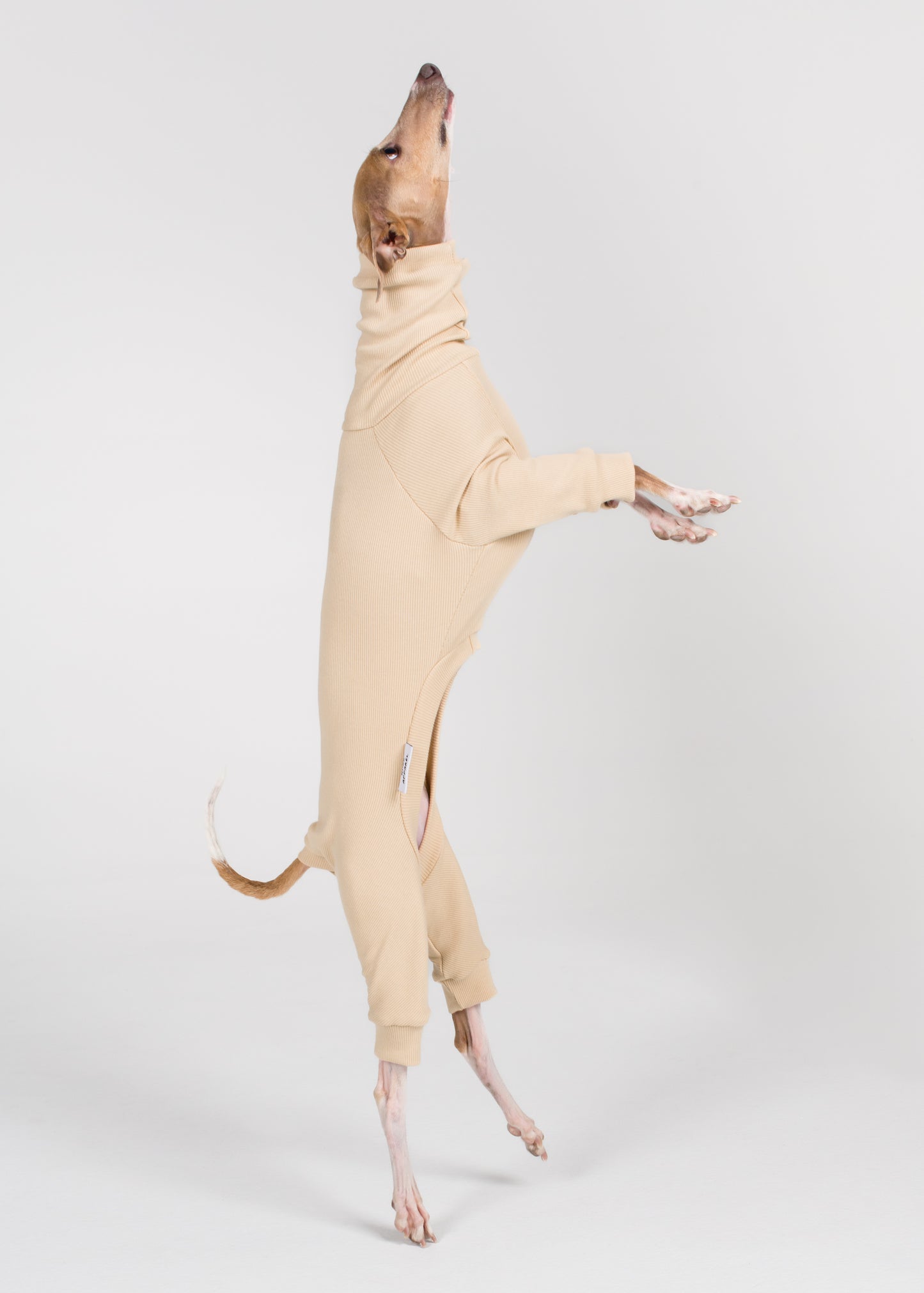 Italian Greyhound Rib Full Suit - Nude