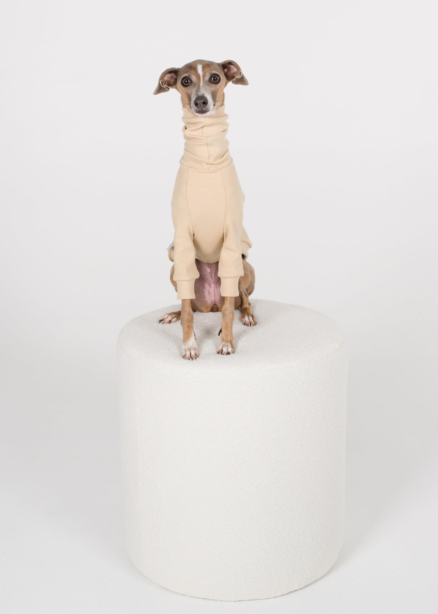 Italian Greyhound Rib Jumper - Nude