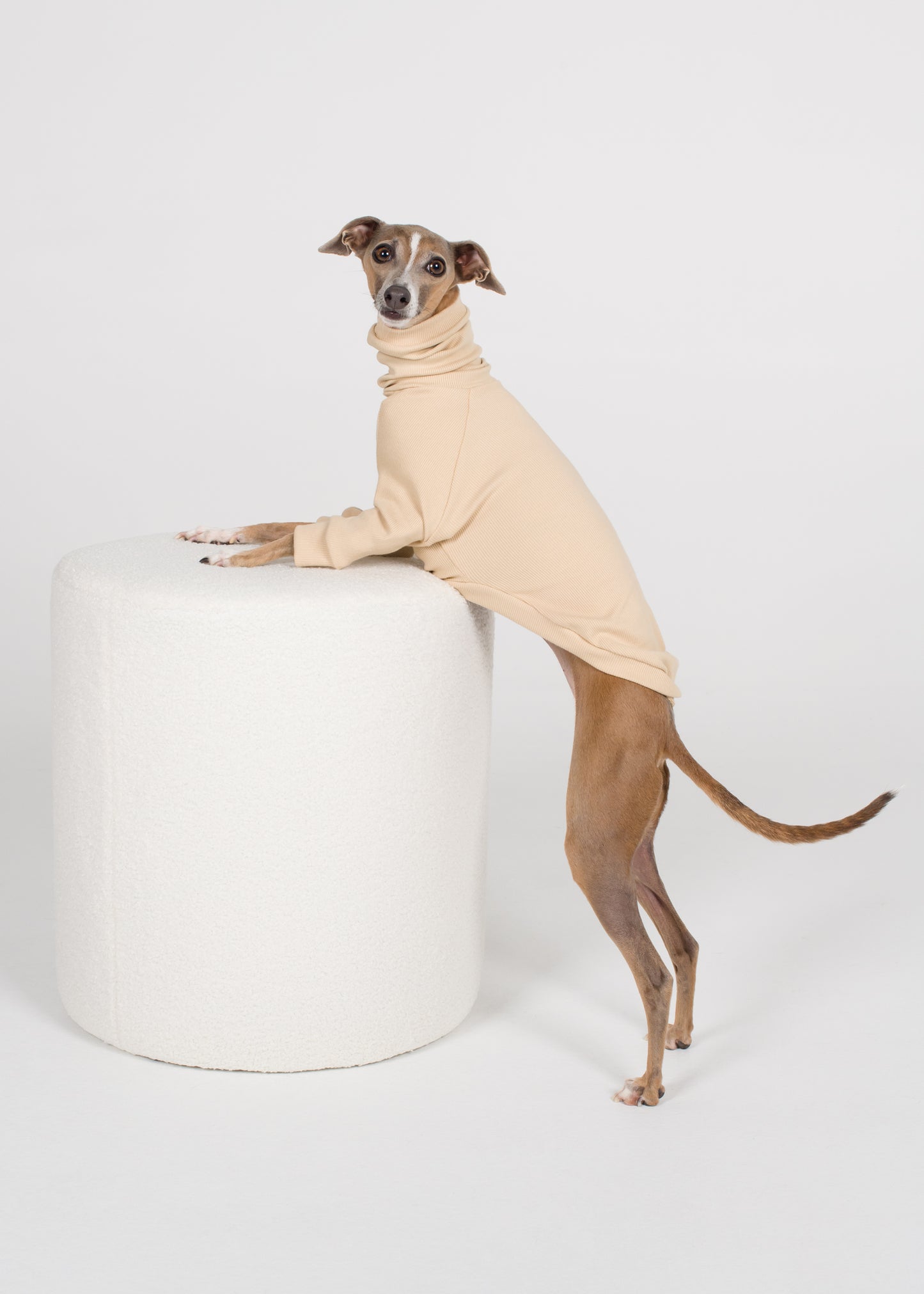 Italian Greyhound Rib Jumper - Nude